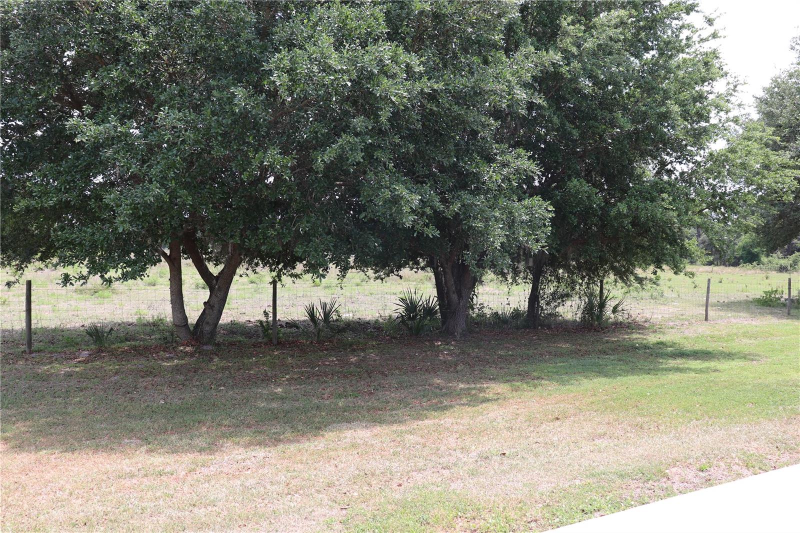 Image 7 of 41 For 9589 49th Terrace