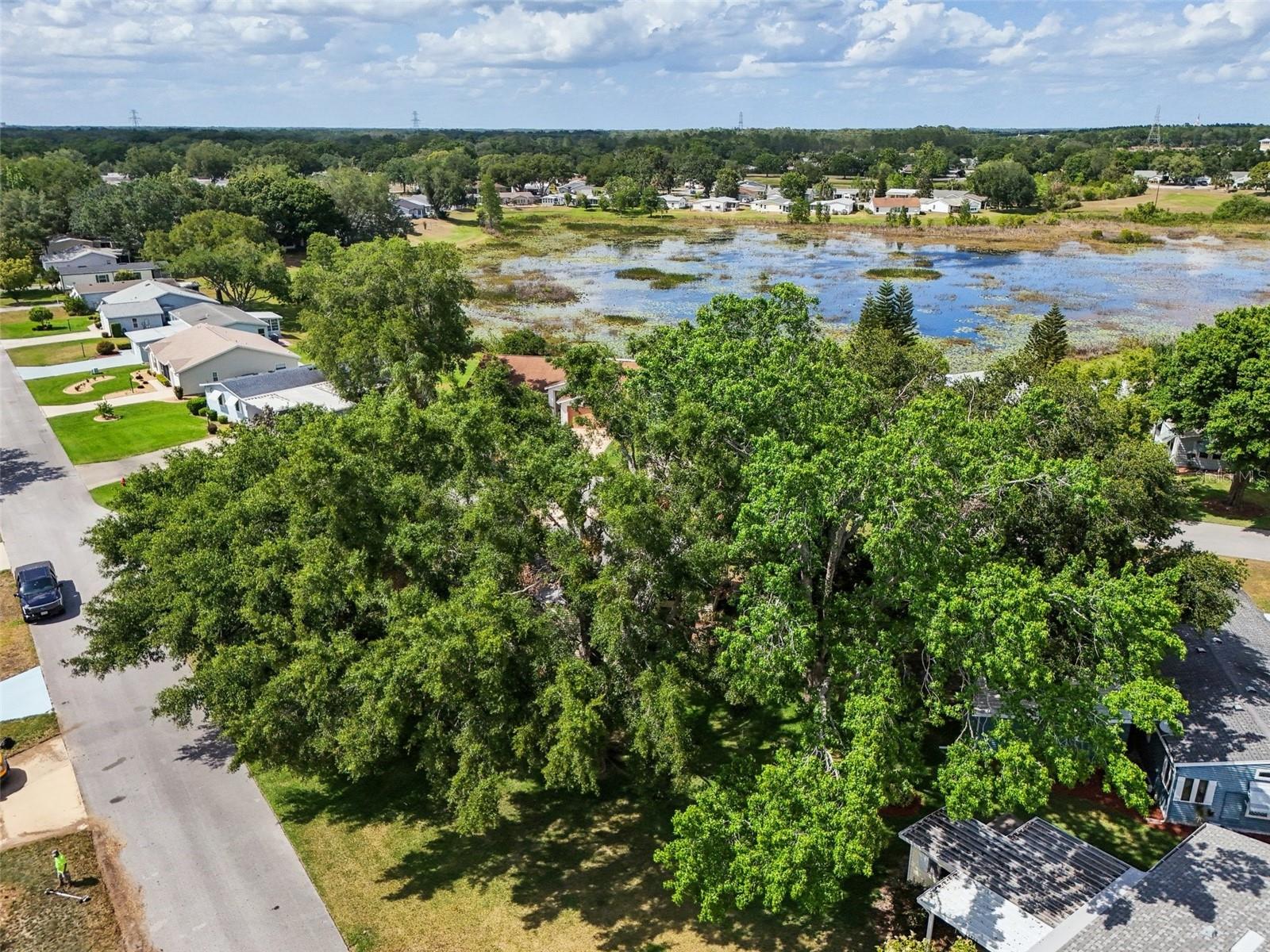Image 42 of 48 For 24802 Pine Hill