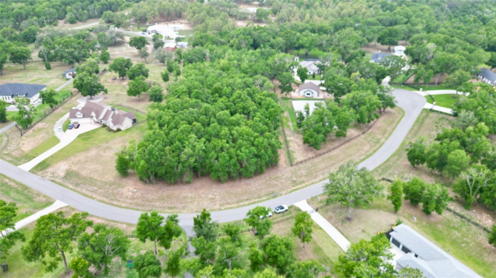 Image 4 of 14 For Wolf Springs Court