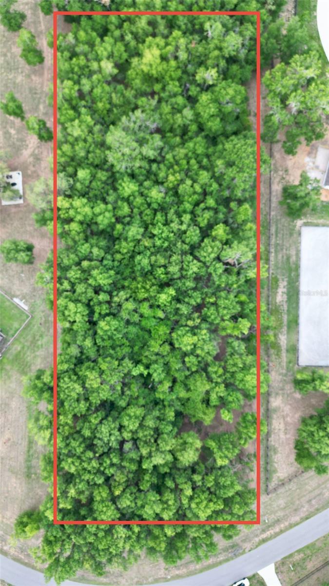 Image 6 of 14 For Wolf Springs Court