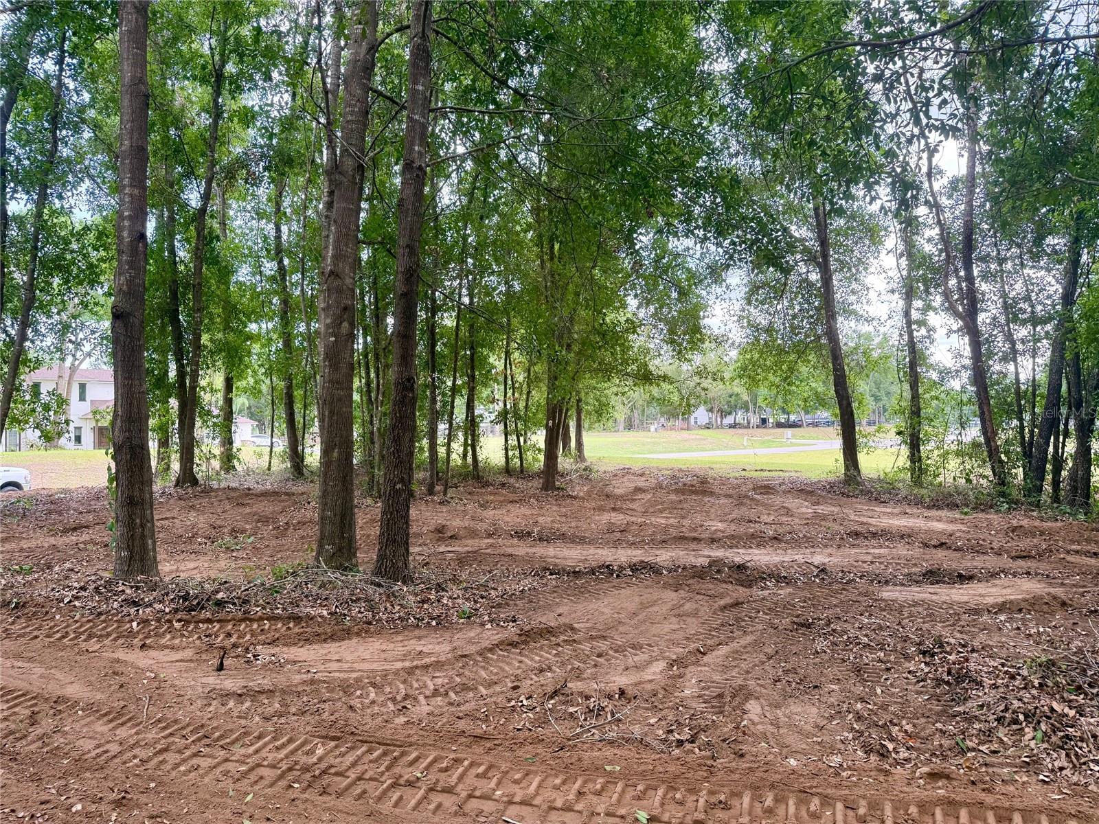 Image 9 of 14 For Wolf Springs Court