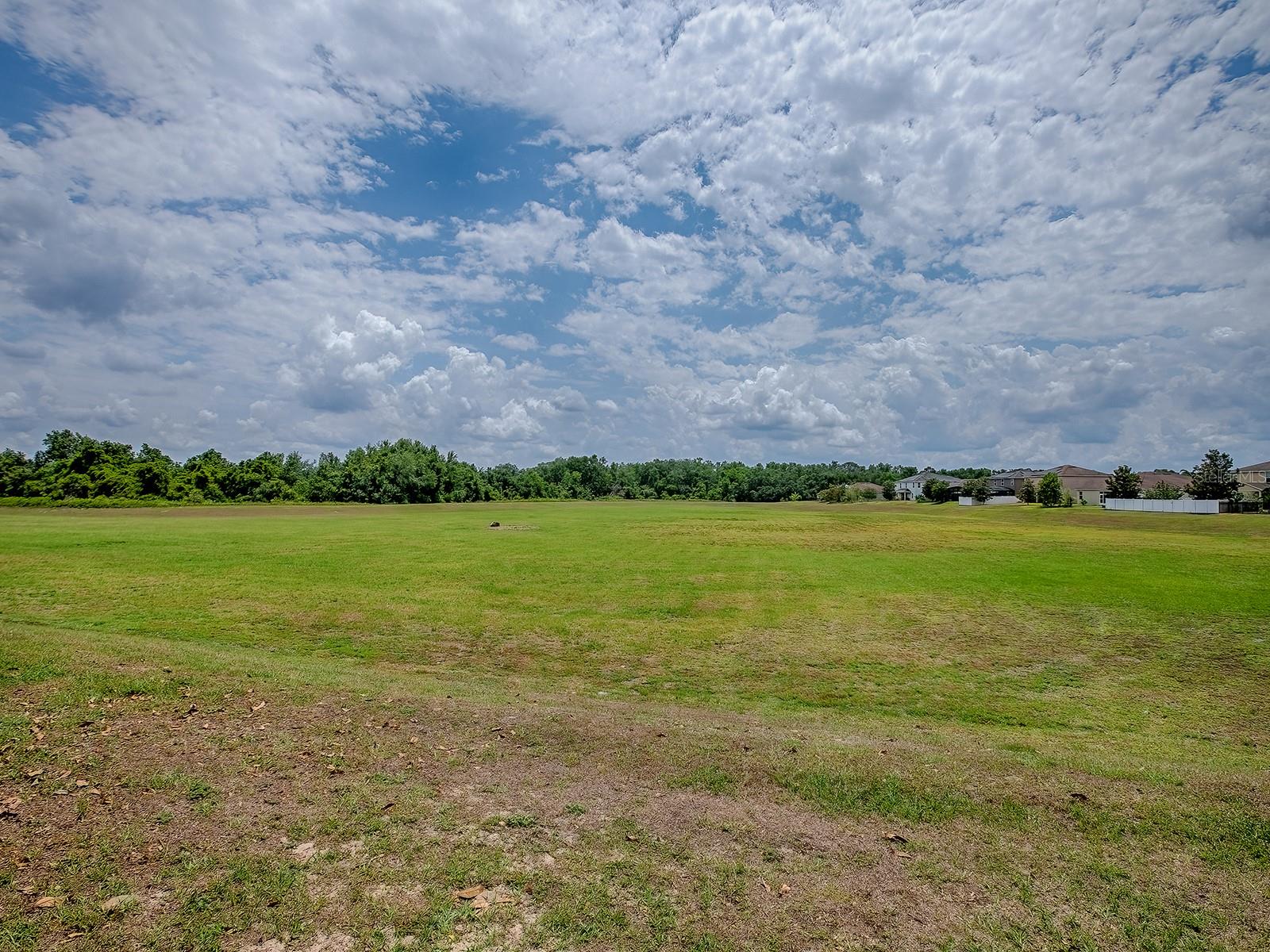 Image 54 of 66 For 718 Lake Douglas Drive