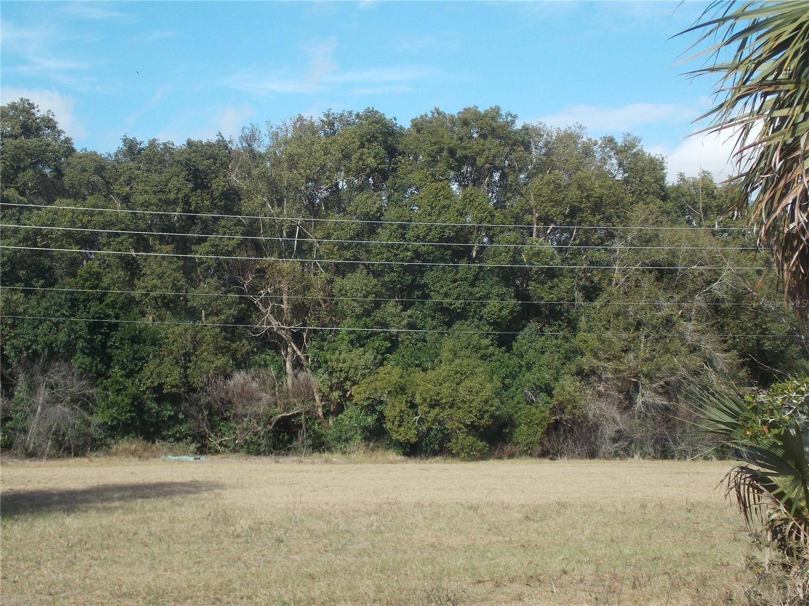 Image 4 of 7 For Turnberry Avenue