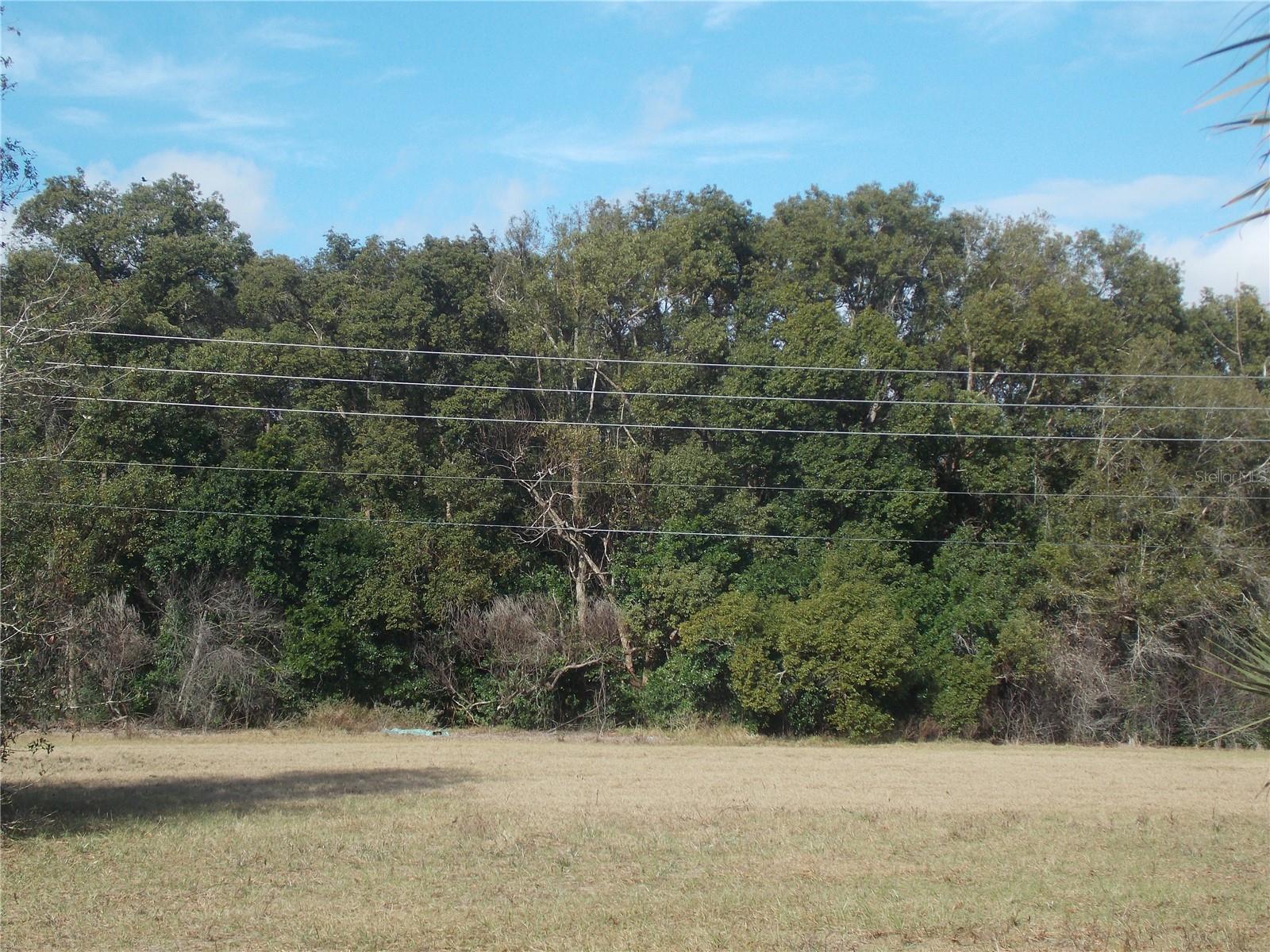 Image 5 of 7 For Turnberry Avenue