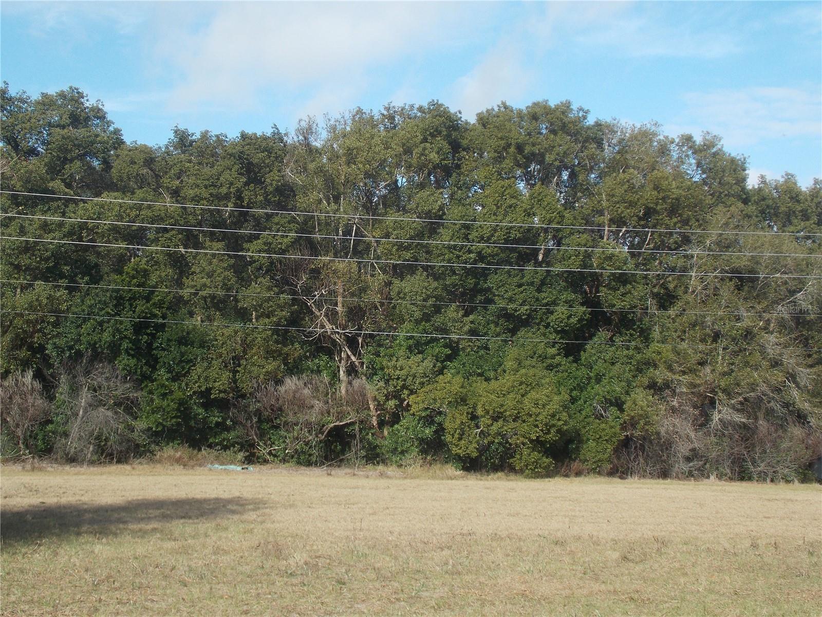 Image 7 of 7 For Turnberry Avenue