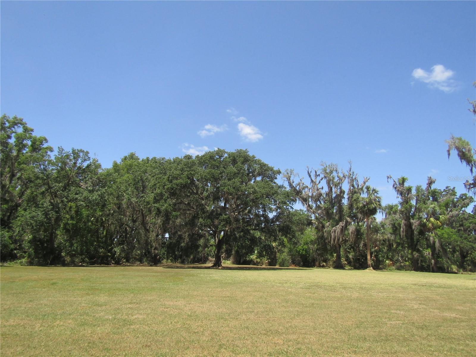 Image 10 of 18 For 9603 Wright On Drive