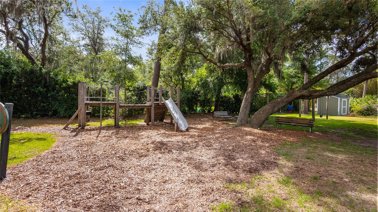 Image 55 of 60 For 9134 Mossy Oak Lane