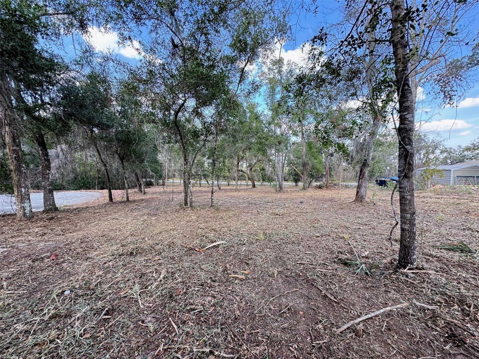 Image 10 of 11 For Spruce Terrace Way