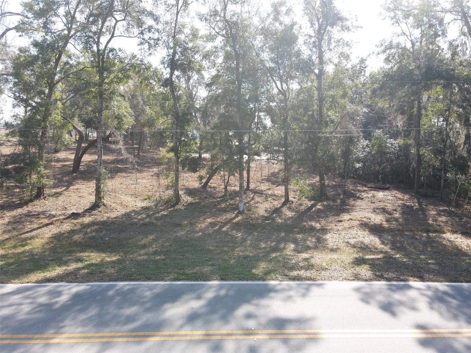 Image 2 of 11 For Spruce Terrace Way