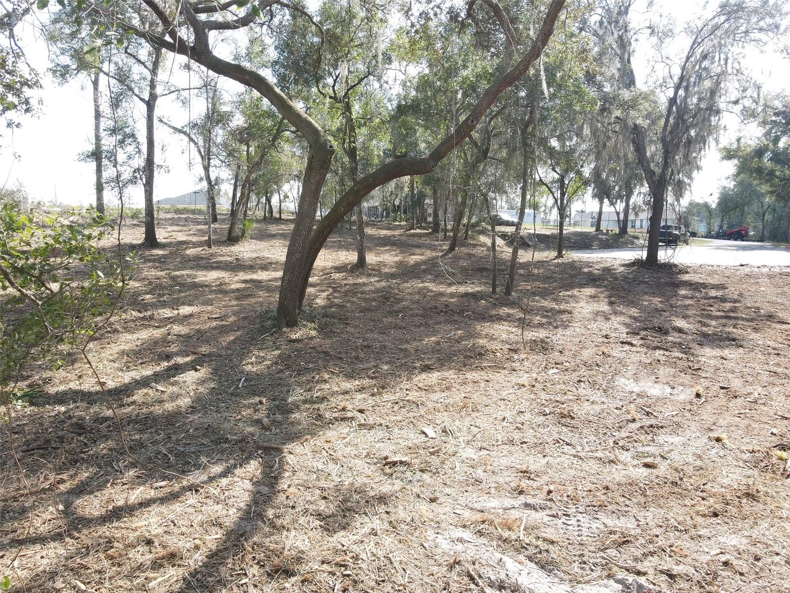 Image 4 of 11 For Spruce Terrace Way