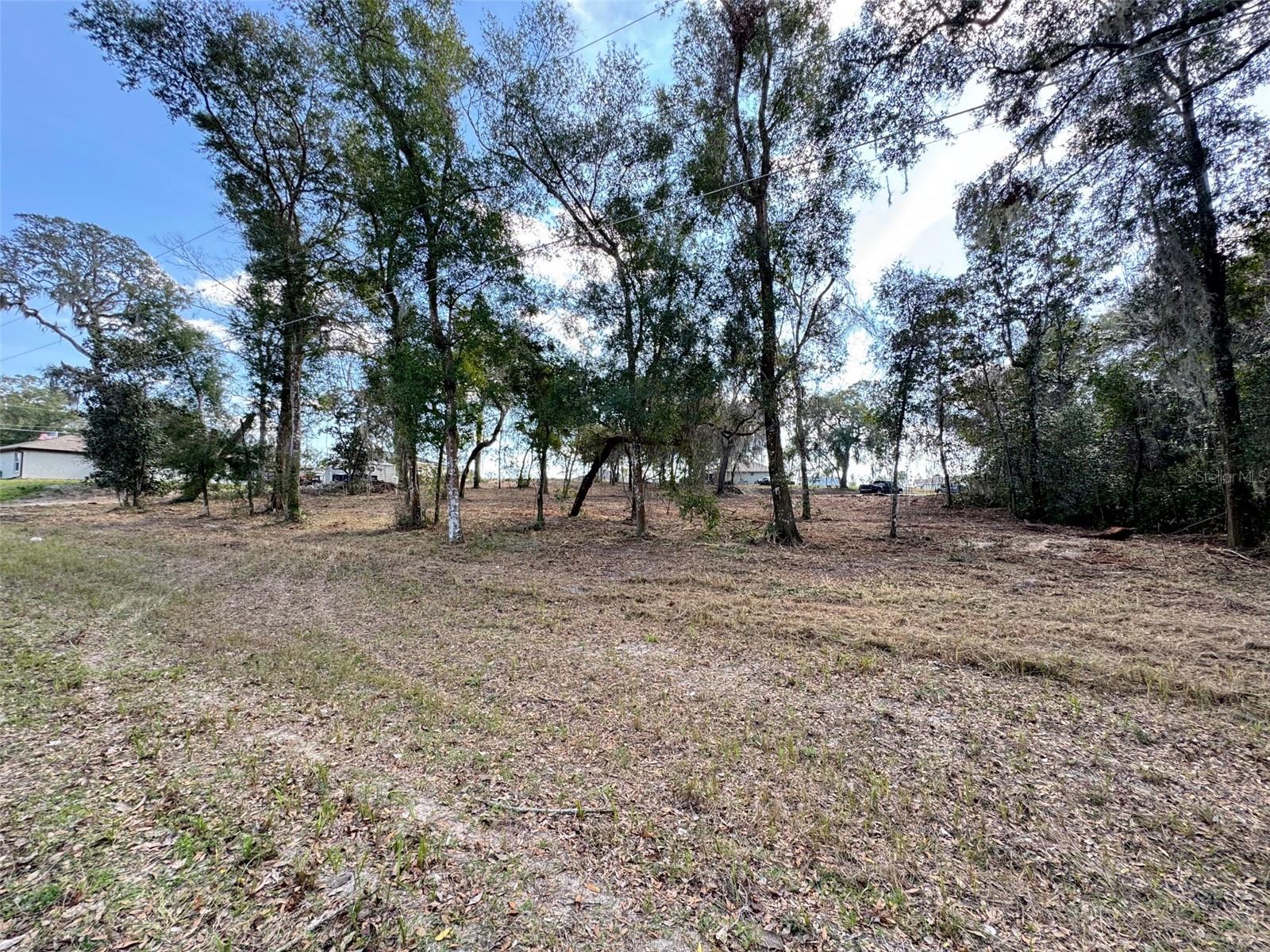 Image 6 of 11 For Spruce Terrace Way