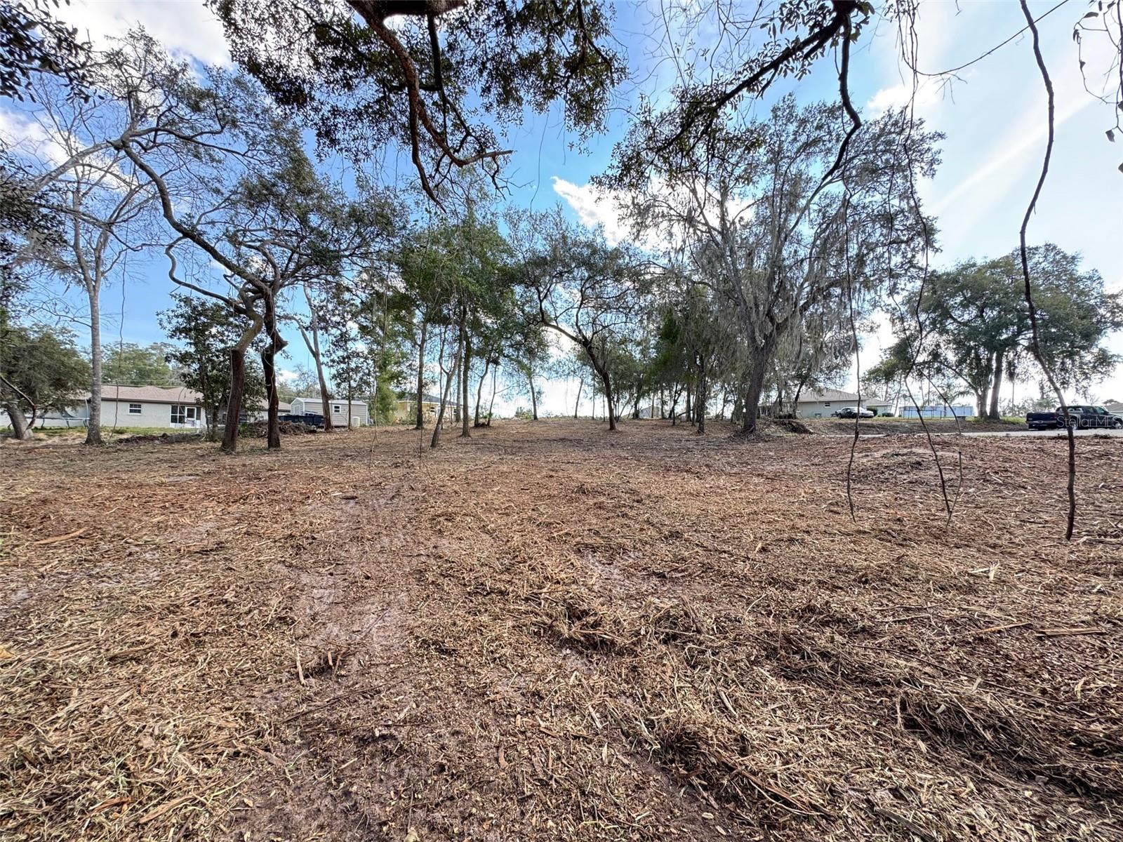 Image 7 of 11 For Spruce Terrace Way