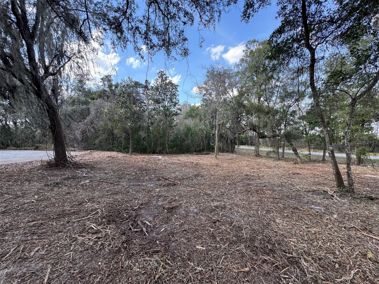 Image 8 of 11 For Spruce Terrace Way