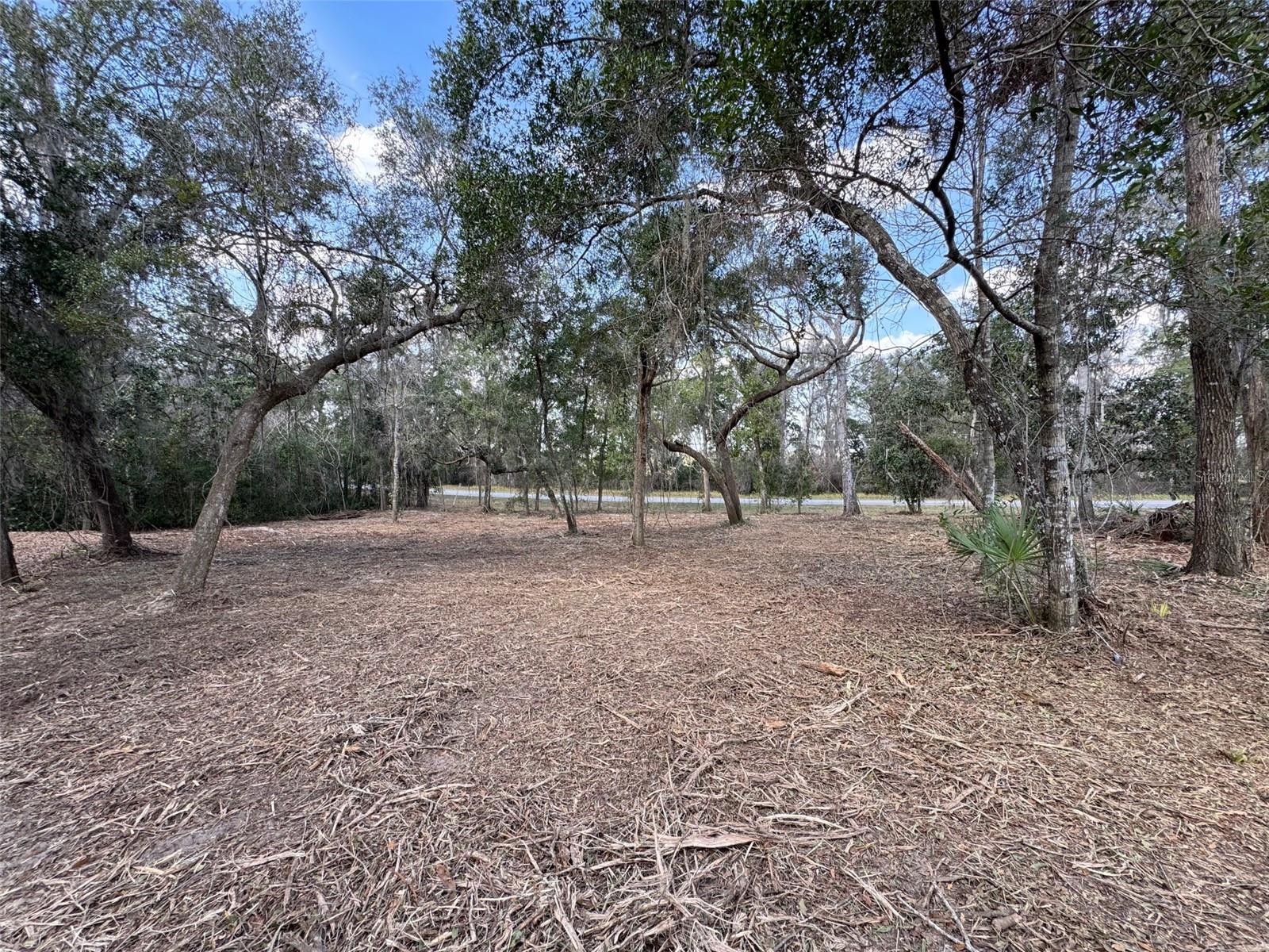 Image 9 of 11 For Spruce Terrace Way