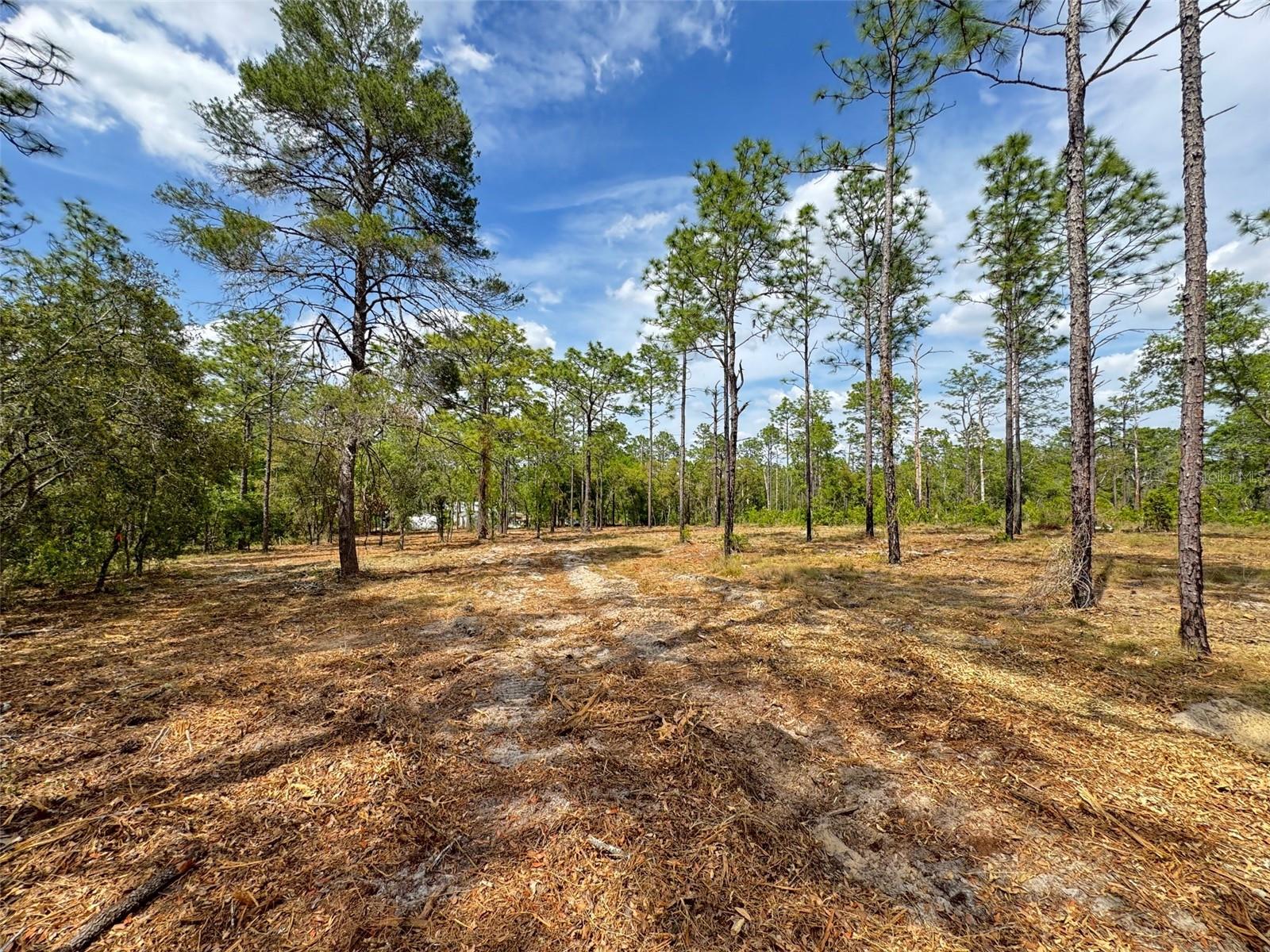 Image 8 of 10 For Edgewater Boulevard