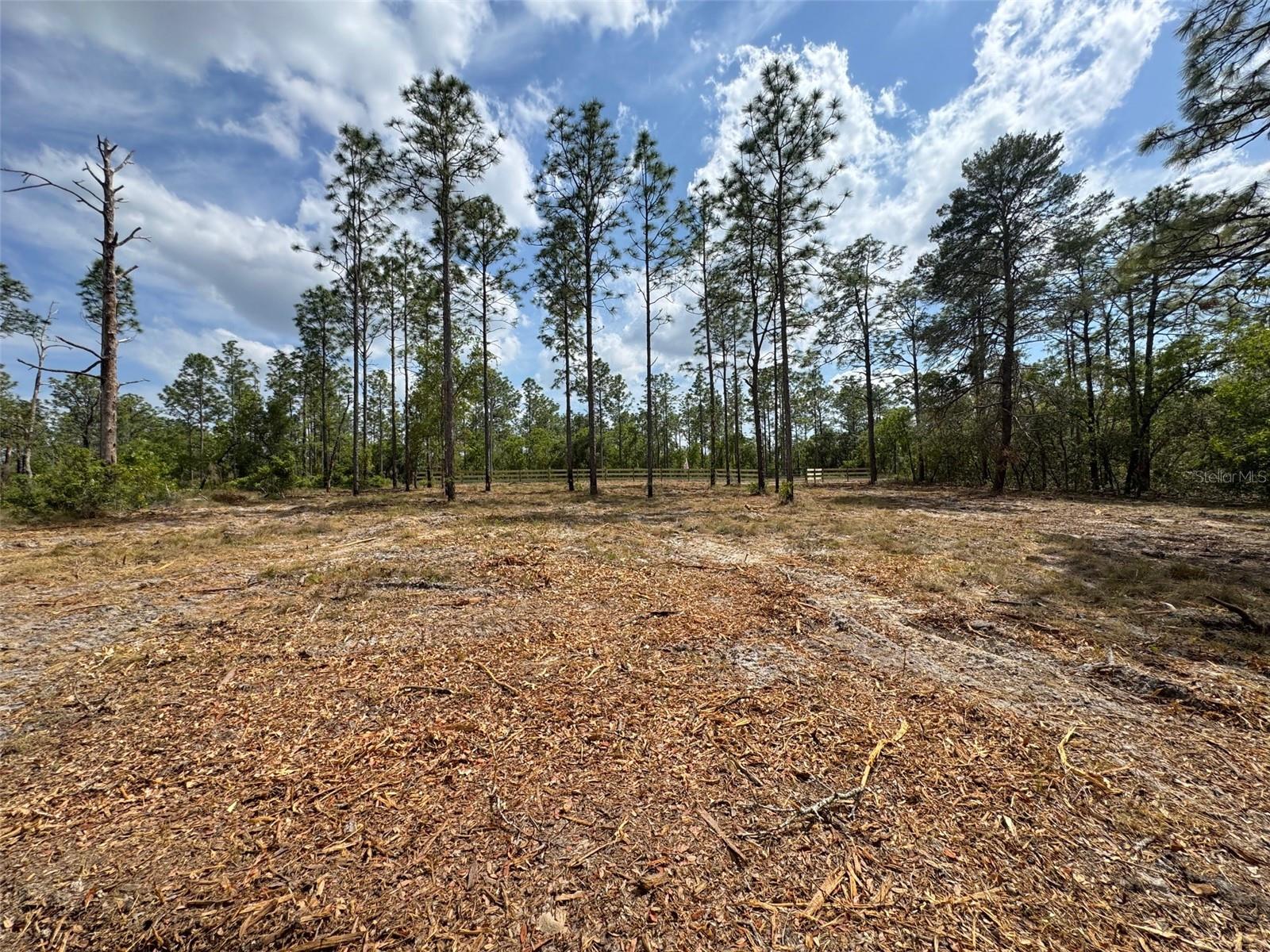 Image 9 of 10 For Edgewater Boulevard