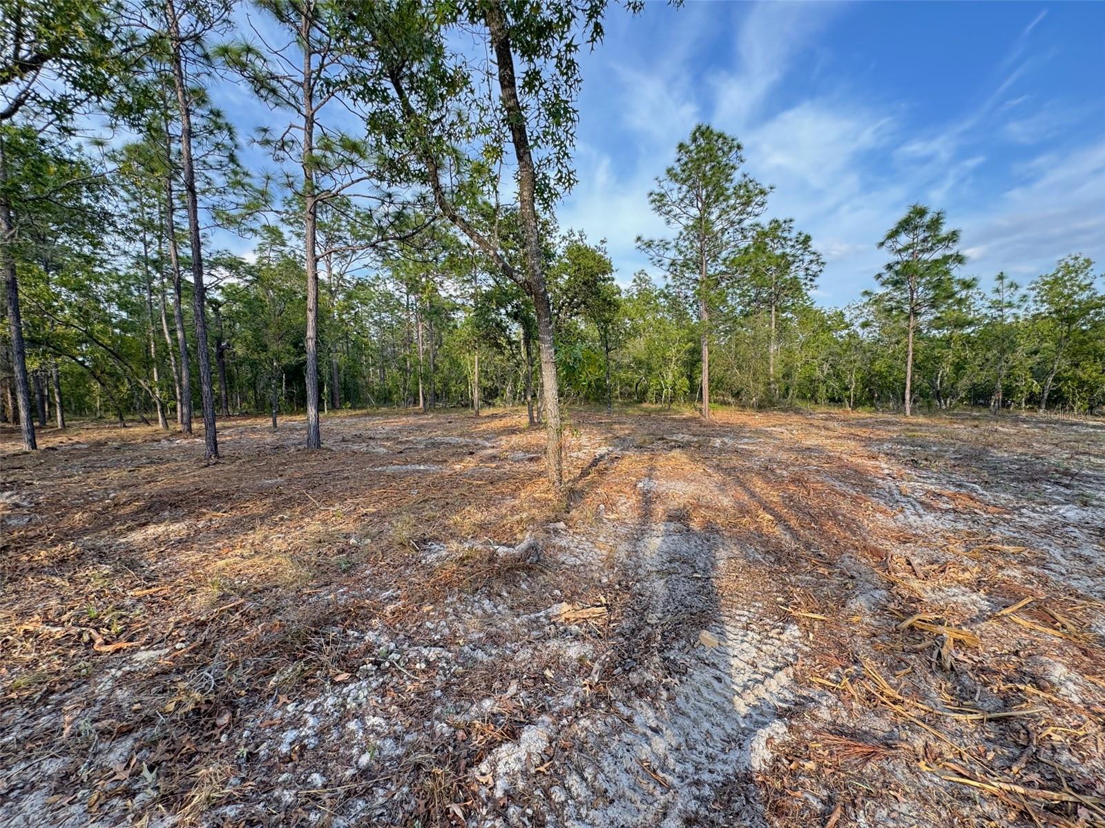 Image 6 of 11 For Anchor Boulevard