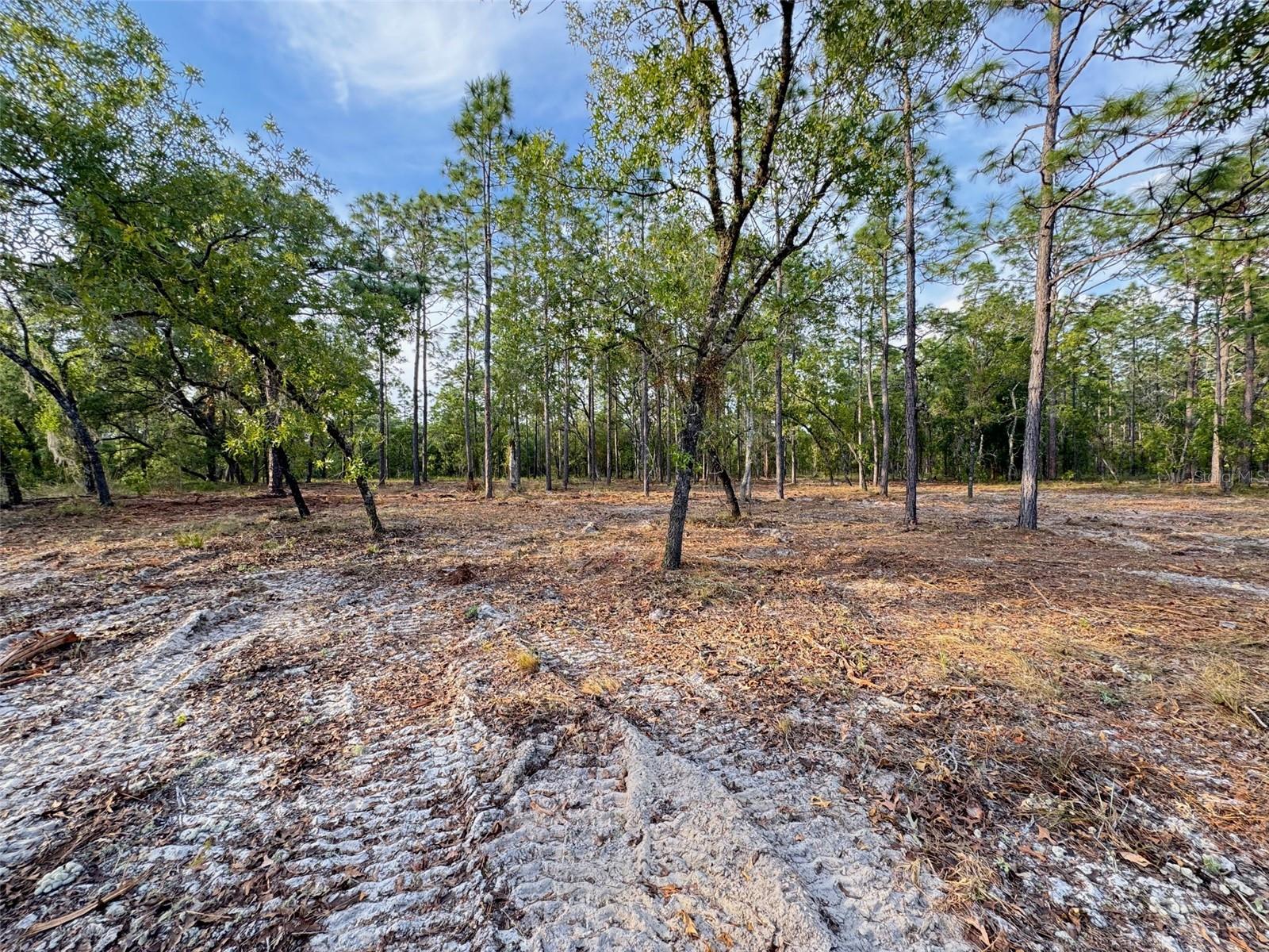 Image 7 of 11 For Anchor Boulevard