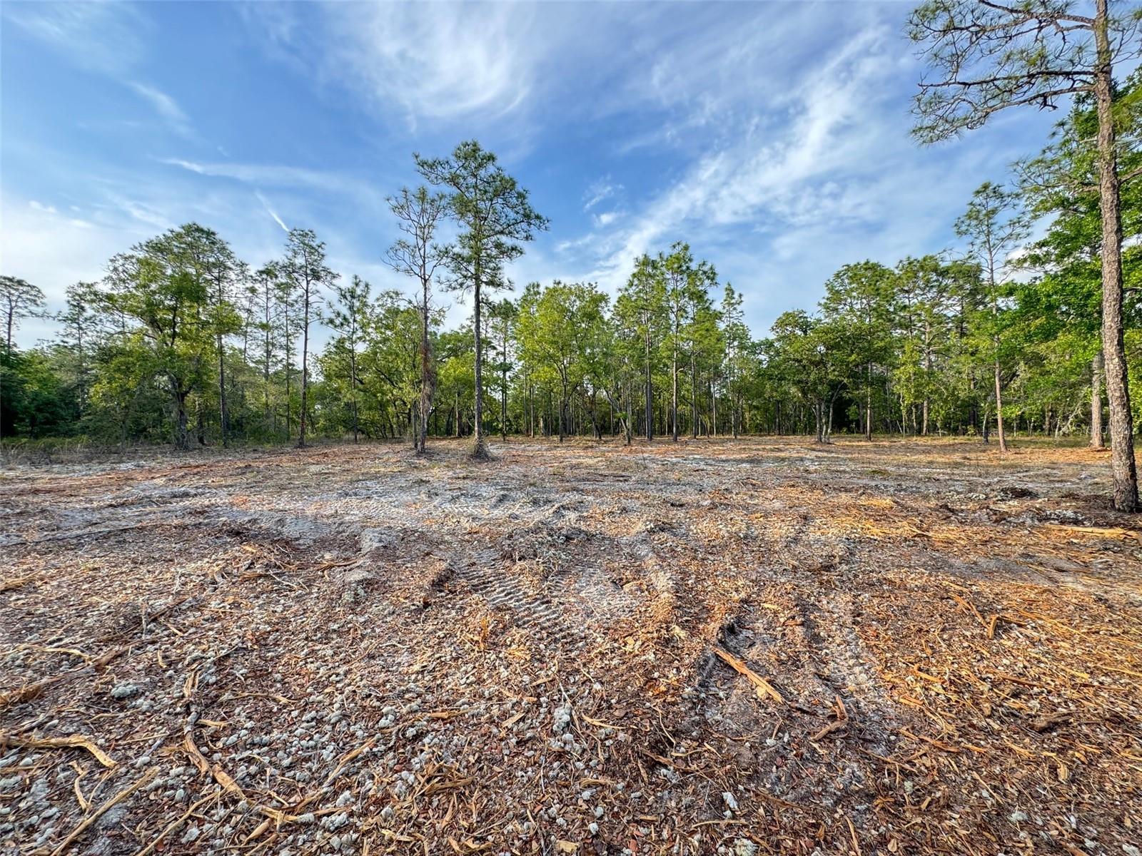 Image 9 of 11 For Anchor Boulevard
