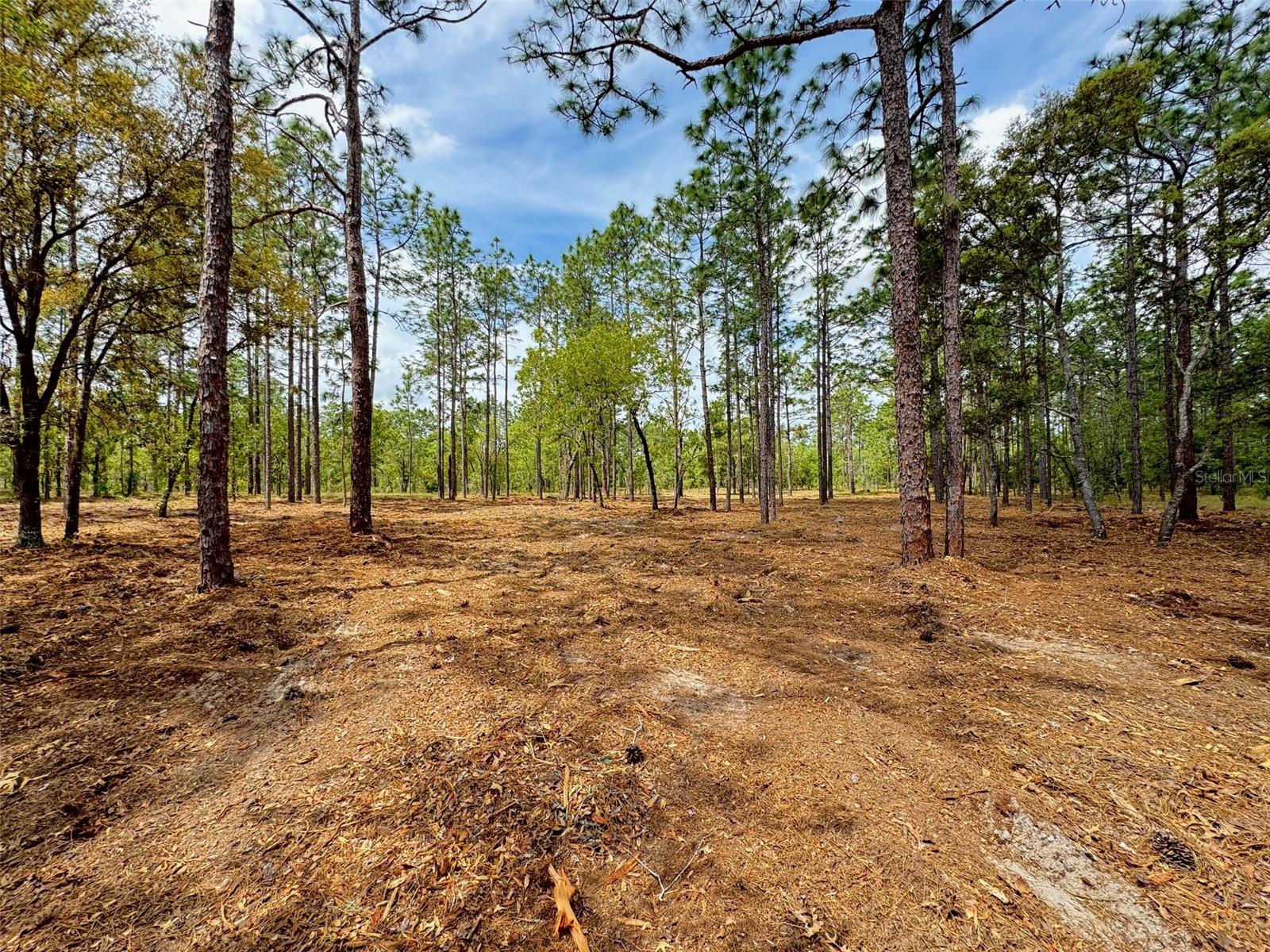 Image 3 of 8 For Deerpark Heights Road