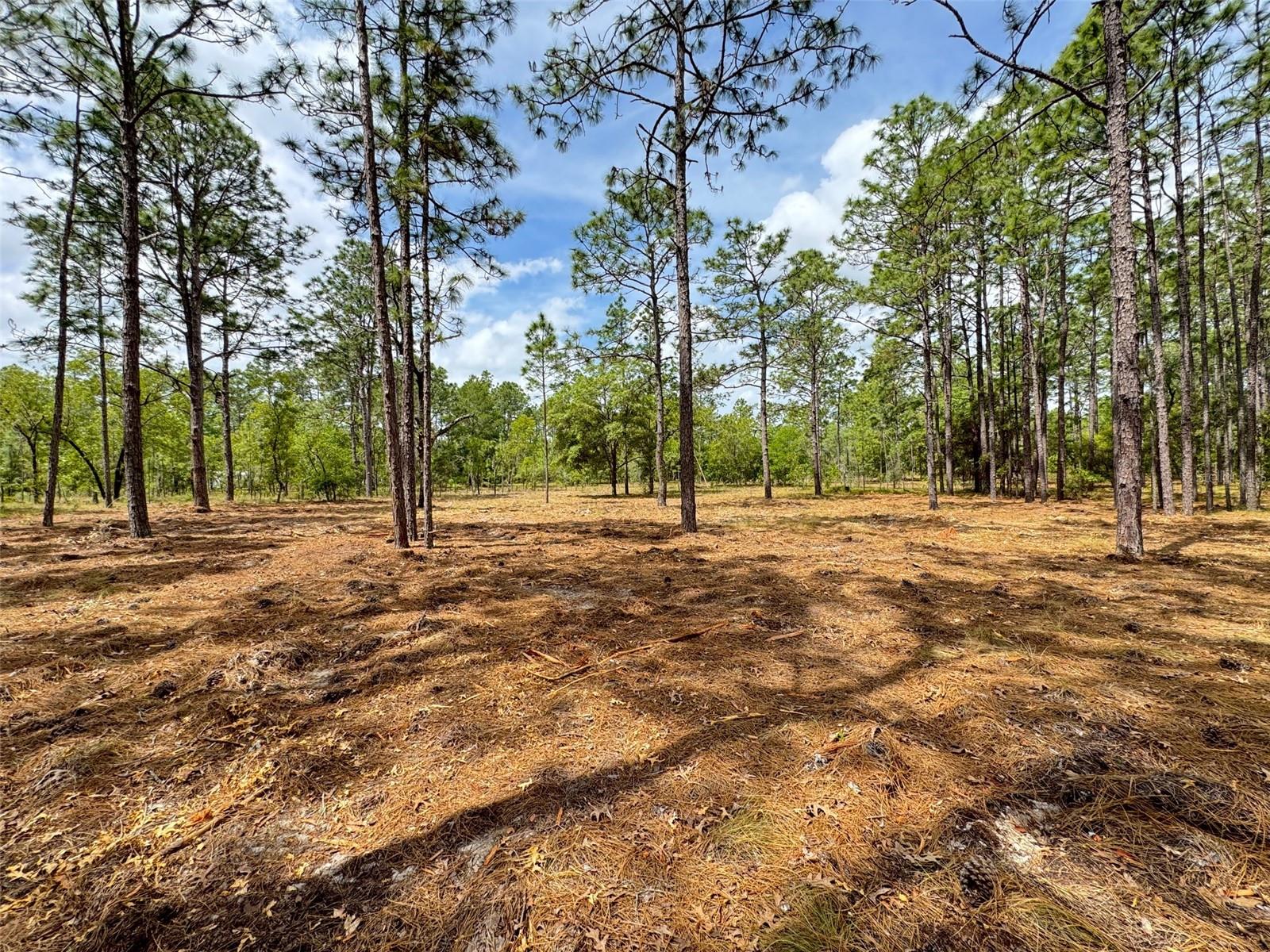 Image 4 of 8 For Deerpark Heights Road