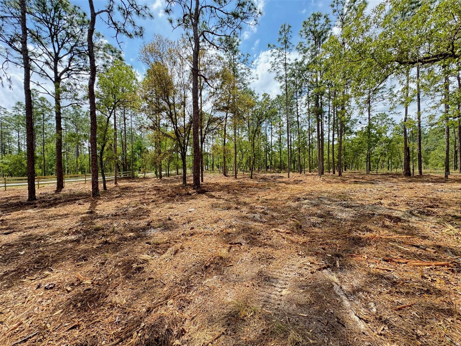 Image 5 of 8 For Deerpark Heights Road