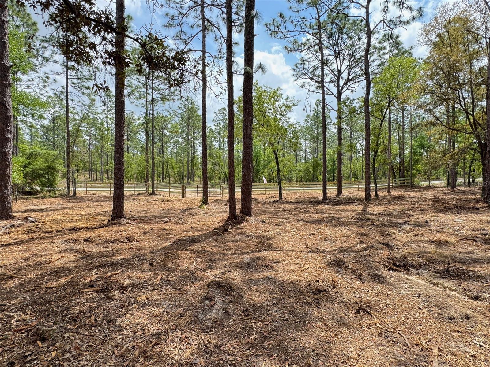 Image 6 of 8 For Deerpark Heights Road