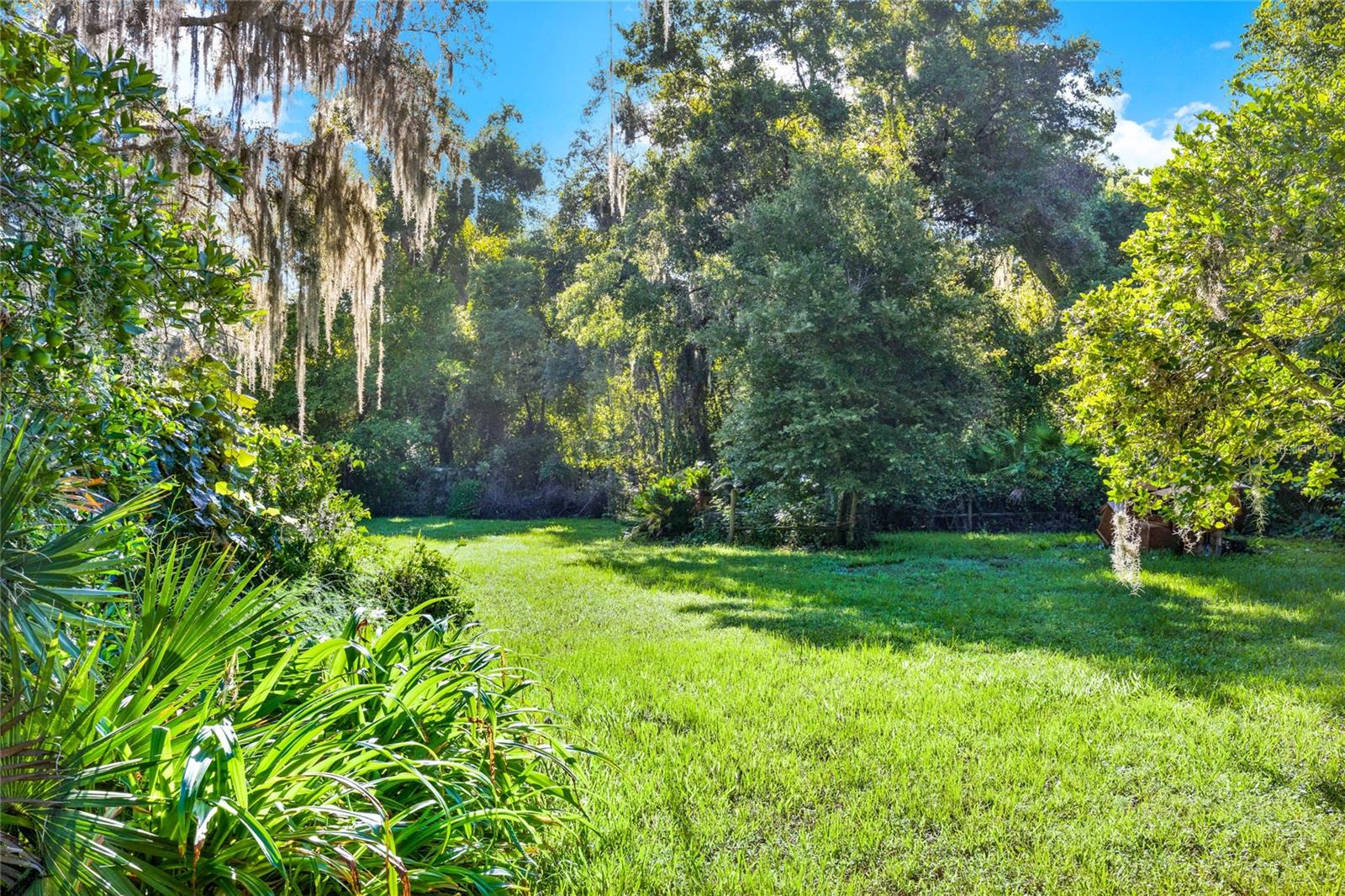 Details for 157th Street, UMATILLA, FL 32784