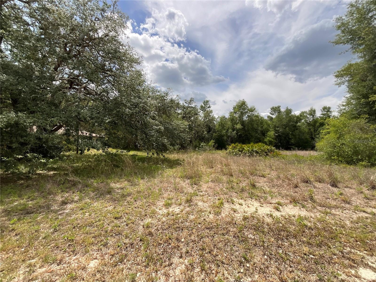 Details for 34331 Rim Rock Street, WEBSTER, FL 33597