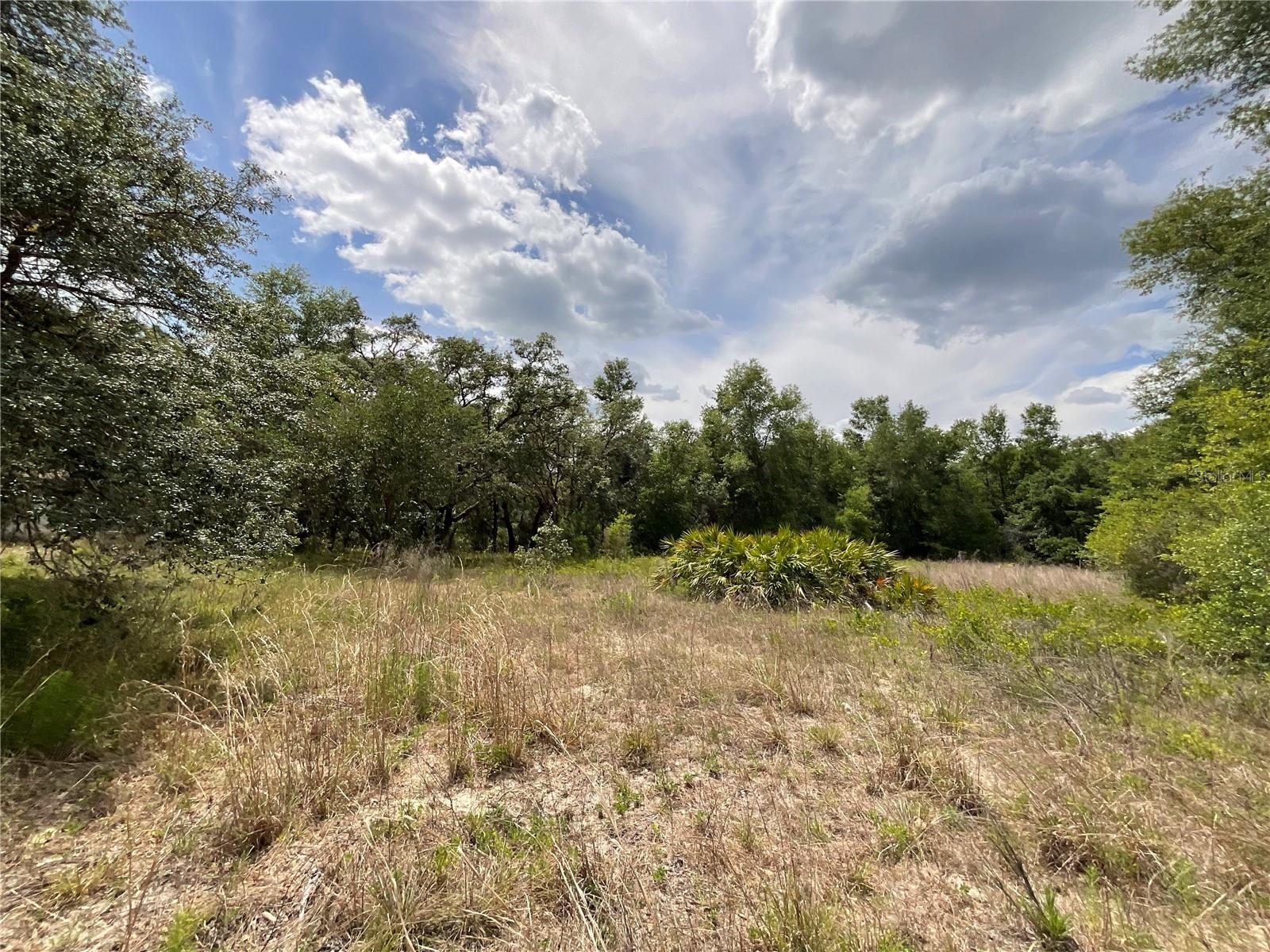 Image 7 of 10 For 34331 Rim Rock Street