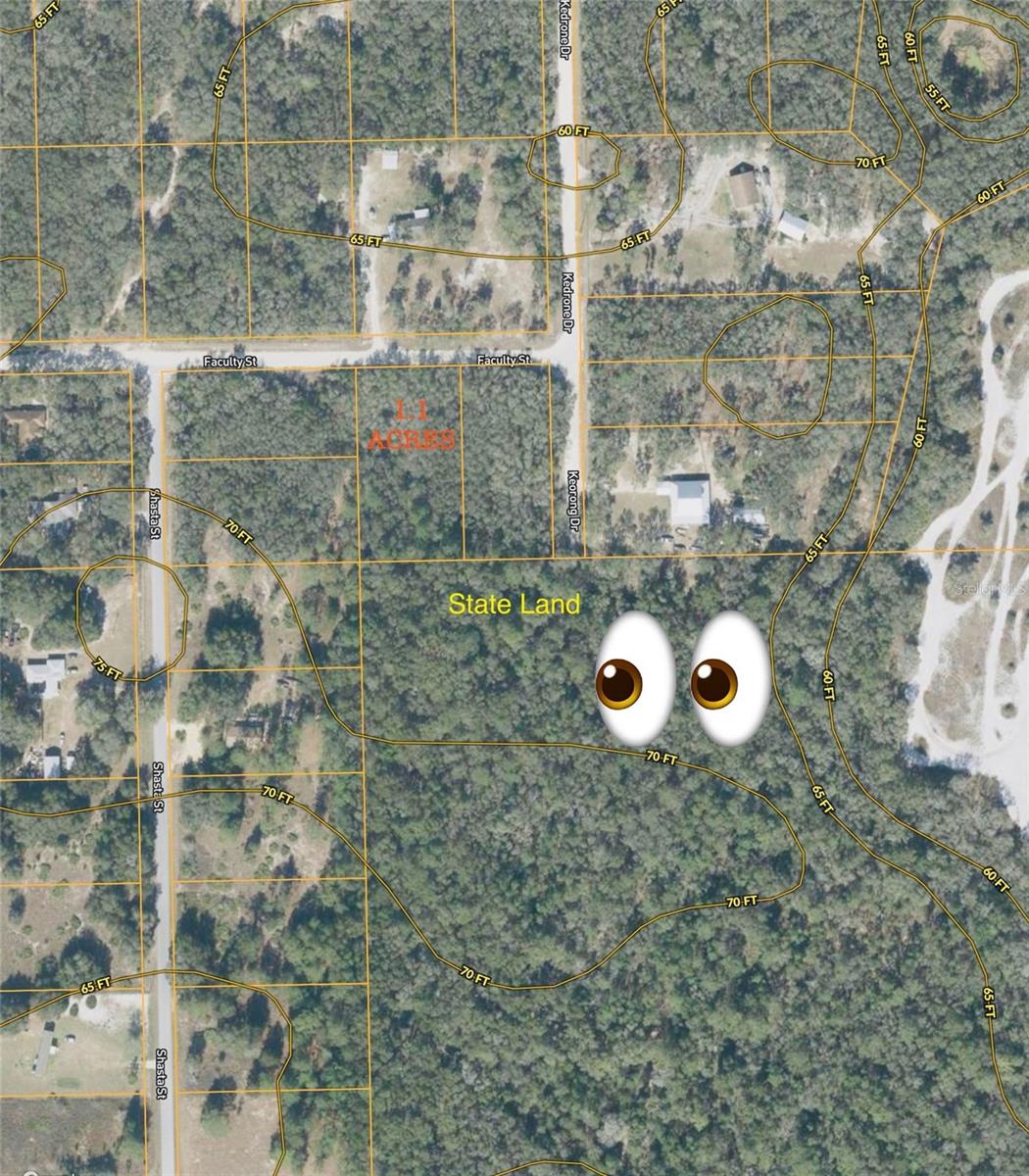 Details for Faculty Street, WEBSTER, FL 33597