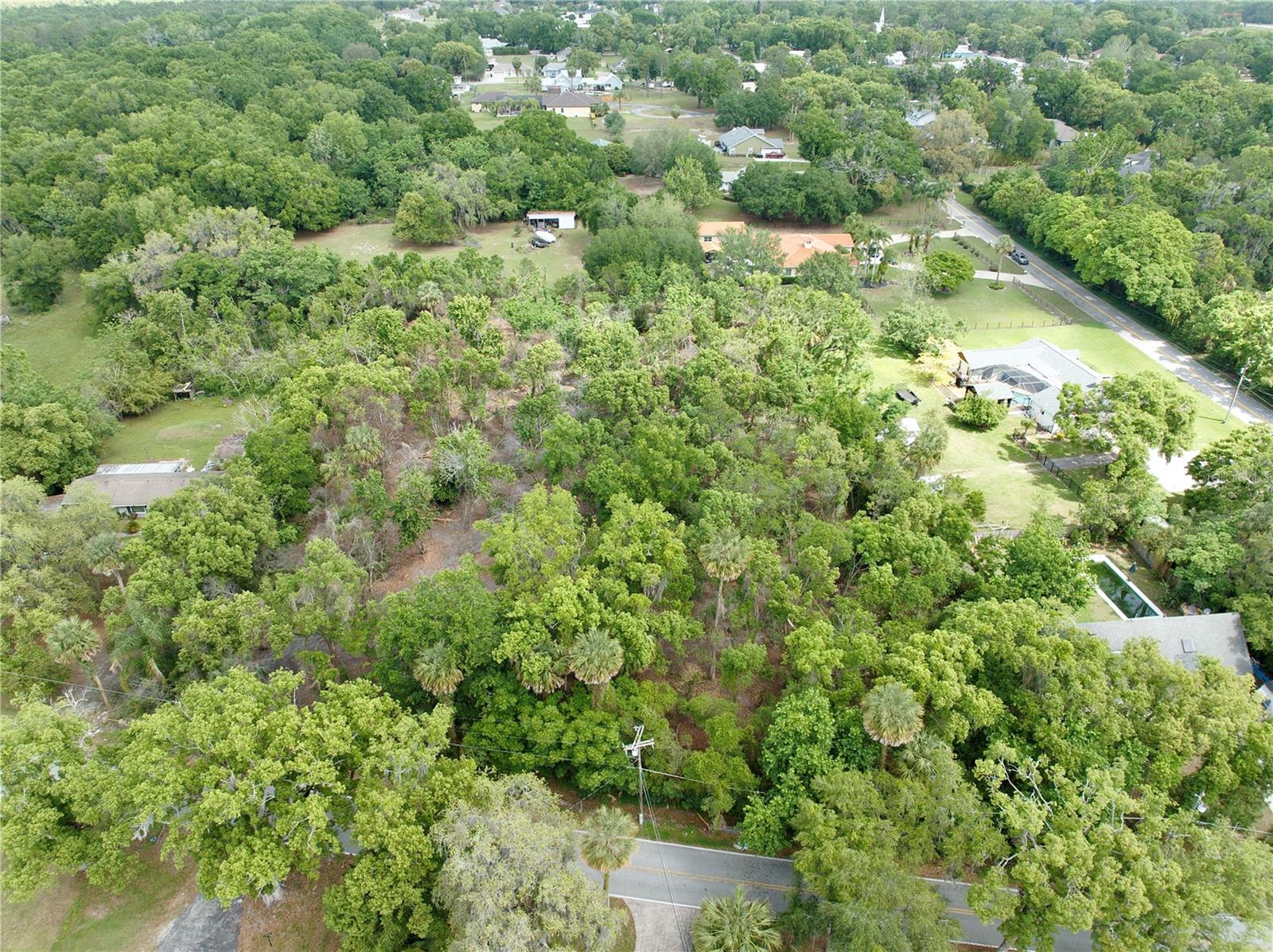 Image 4 of 6 For 7343 Lake Ola Drive
