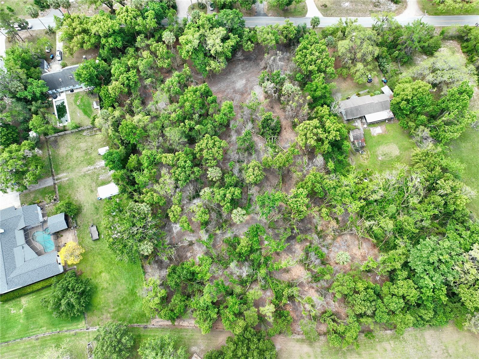 Image 6 of 6 For 7343 Lake Ola Drive