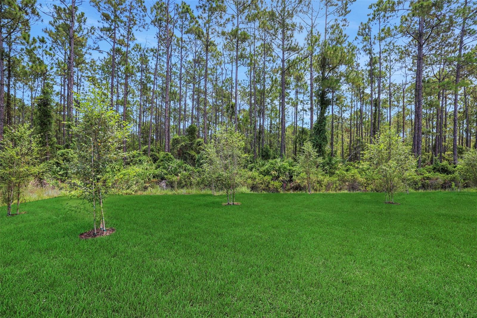 Image 9 of 49 For 300 Grand Landings Parkway