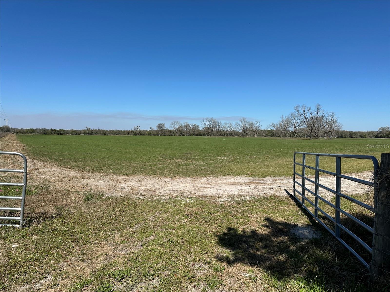 Details for 9510 228th Terrace, O BRIEN, FL 32071