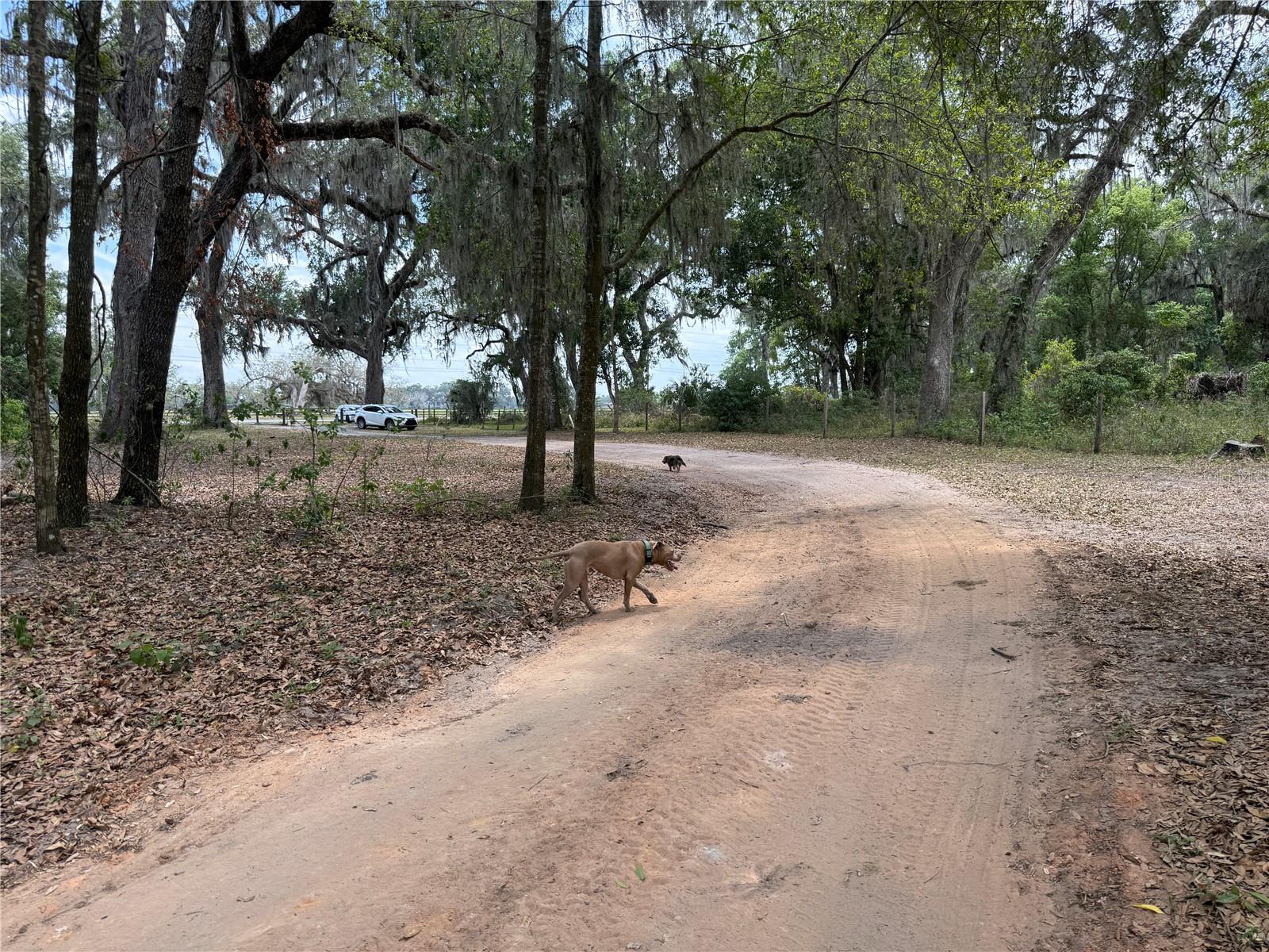 Details for 2878 Us 301  , SUMTERVILLE, FL 33585
