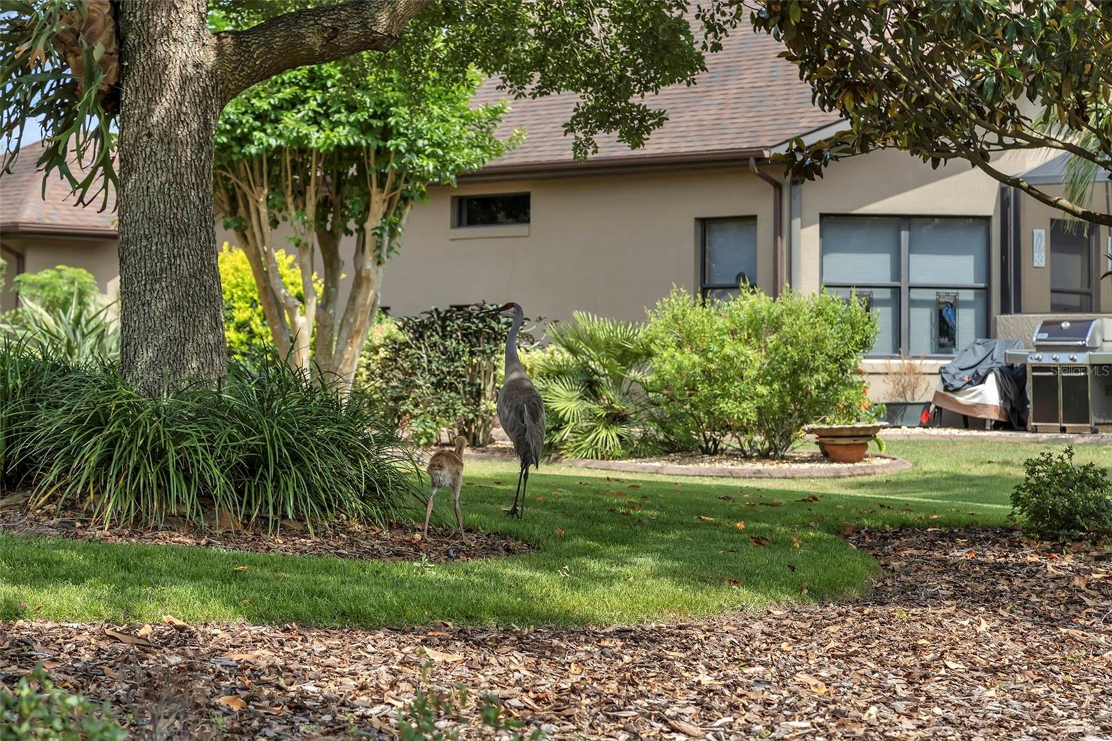Image 34 of 60 For 8167 Bridgeport Bay Circle
