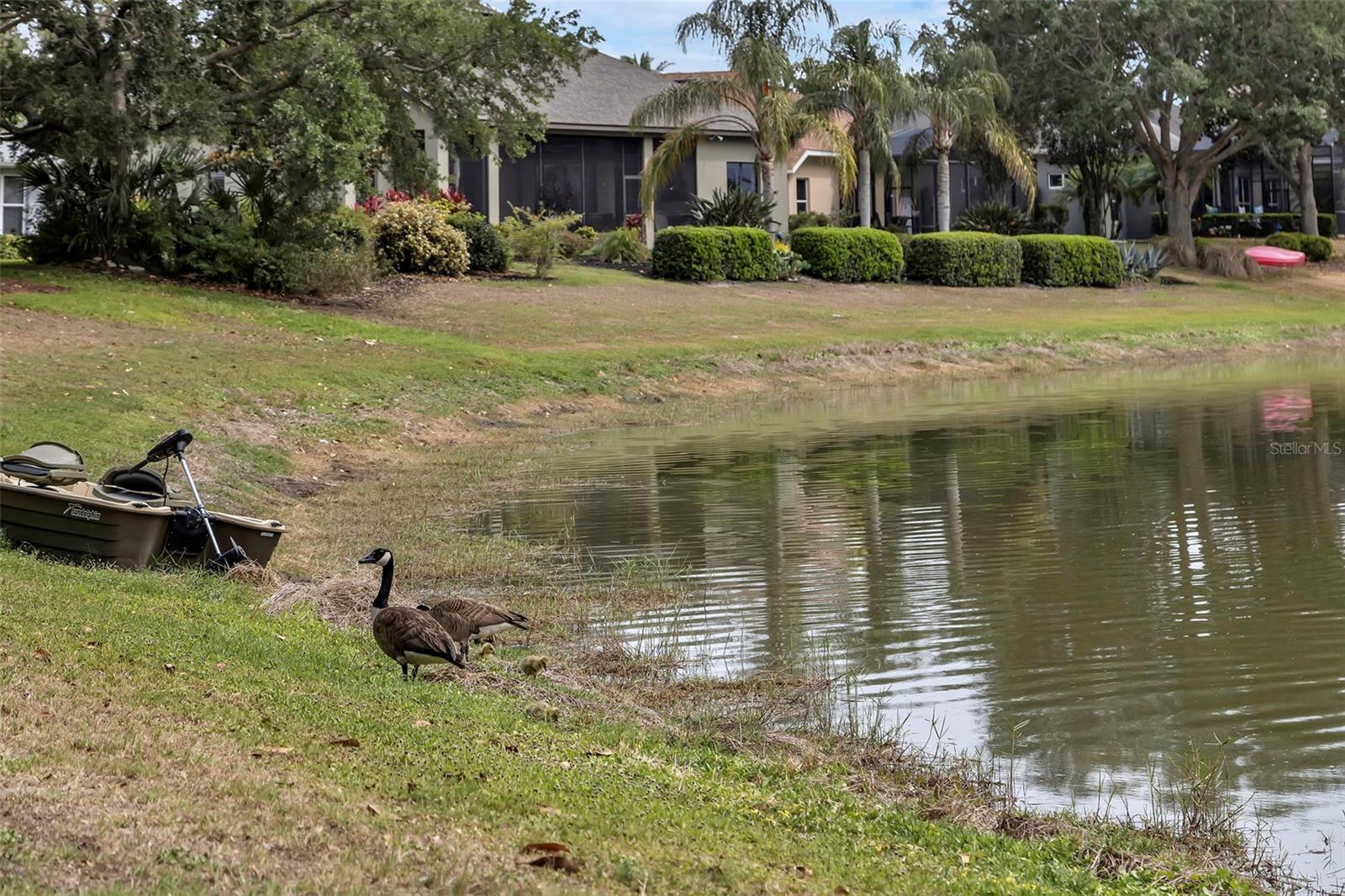 Image 39 of 60 For 8167 Bridgeport Bay Circle