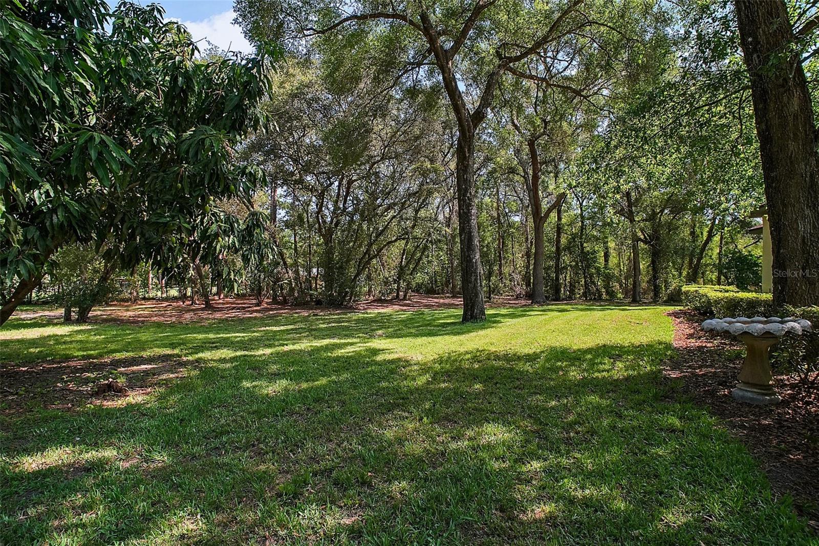 Image 24 of 41 For 35350 County Road 439