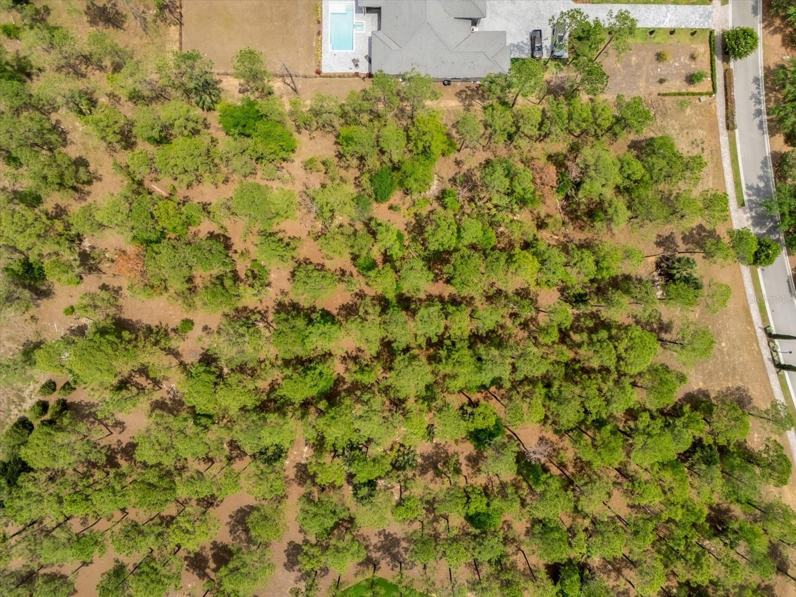 Image 9 of 17 For 16250 Pendio Drive