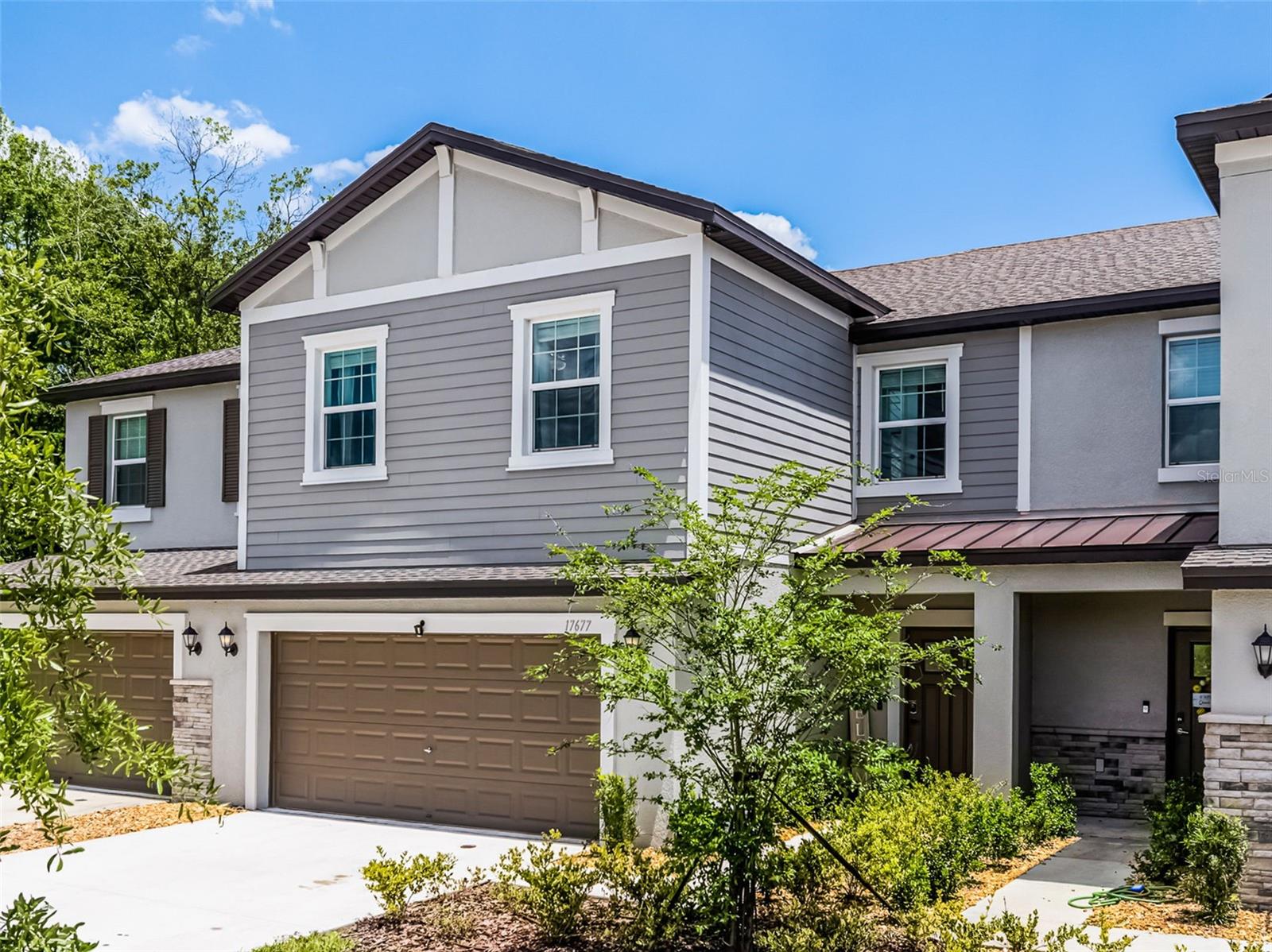 Details for 17677 Nectar Flume Drive, LAND O LAKES, FL 34637