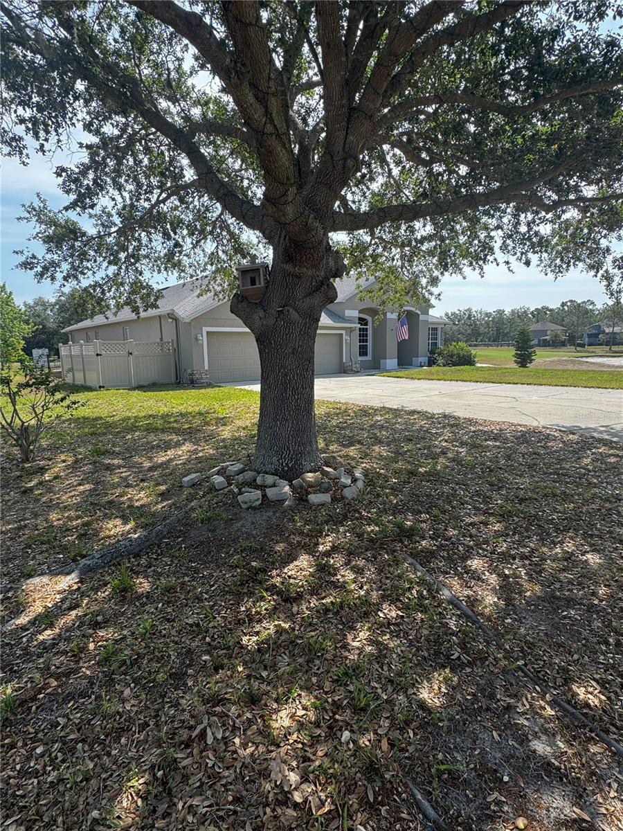 Image 4 of 24 For 33818 Venice Lane