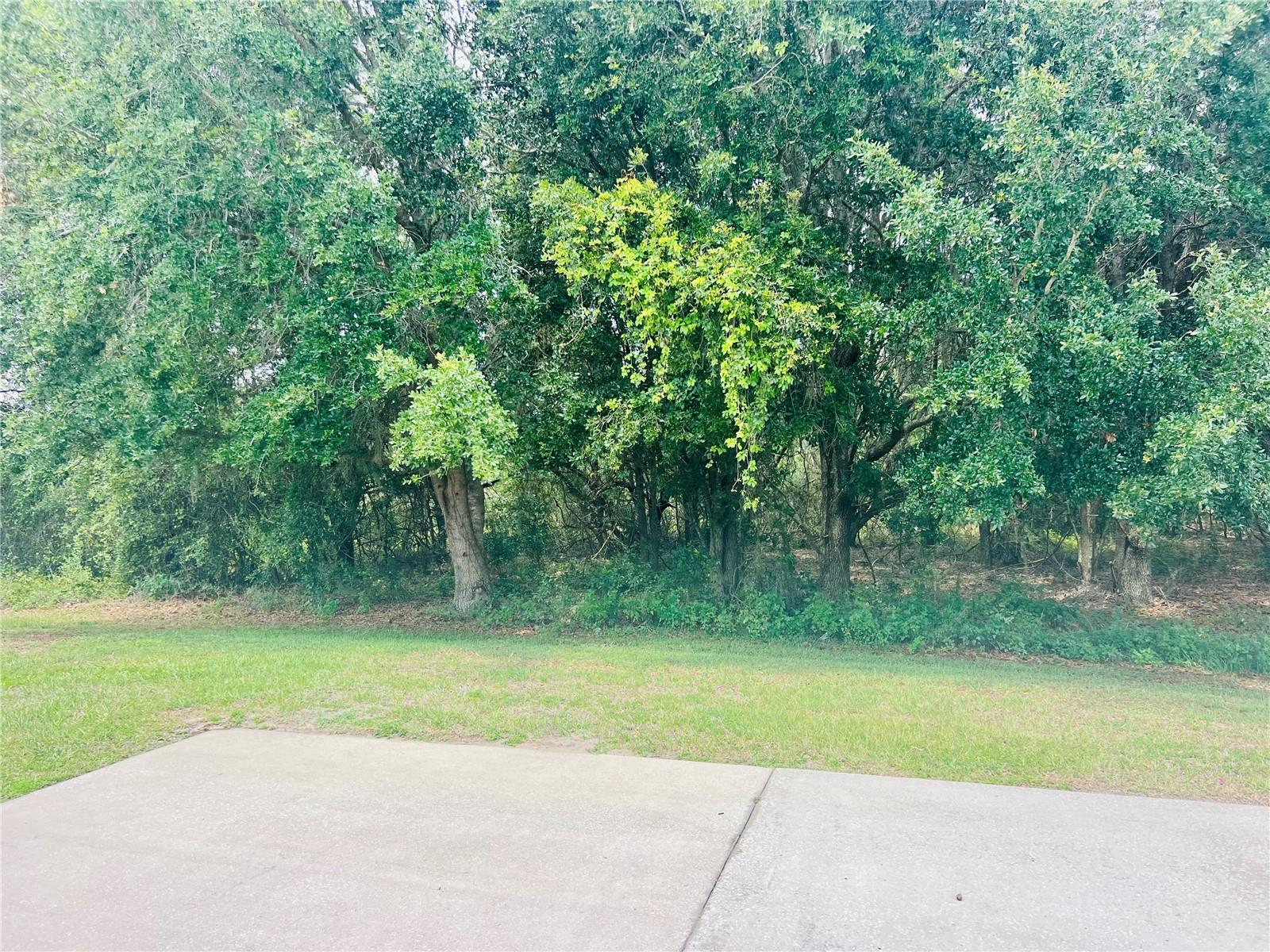 Image 6 of 37 For 9413 49th Terrace