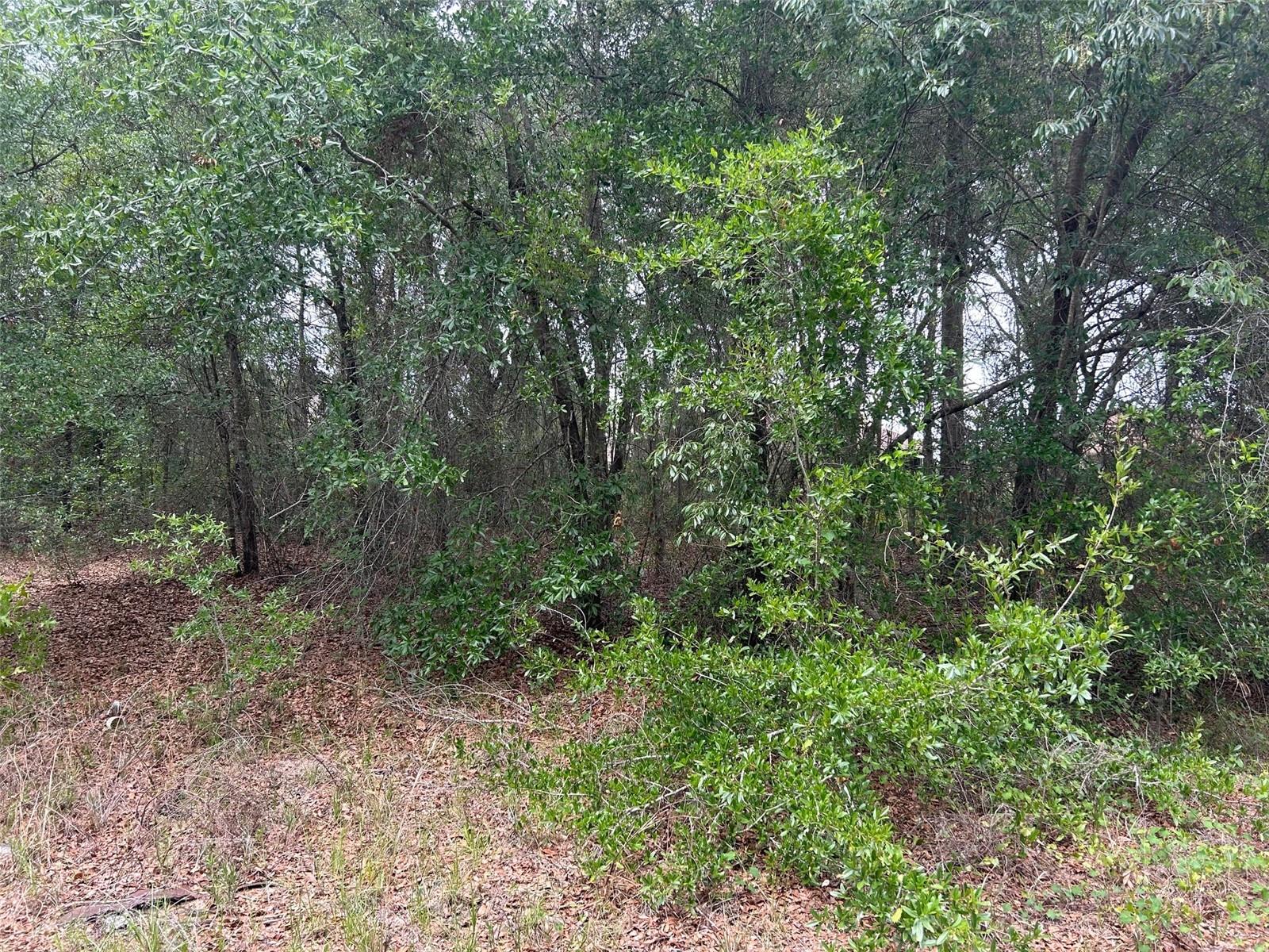 Details for  17th Street , OCALA, FL 34482