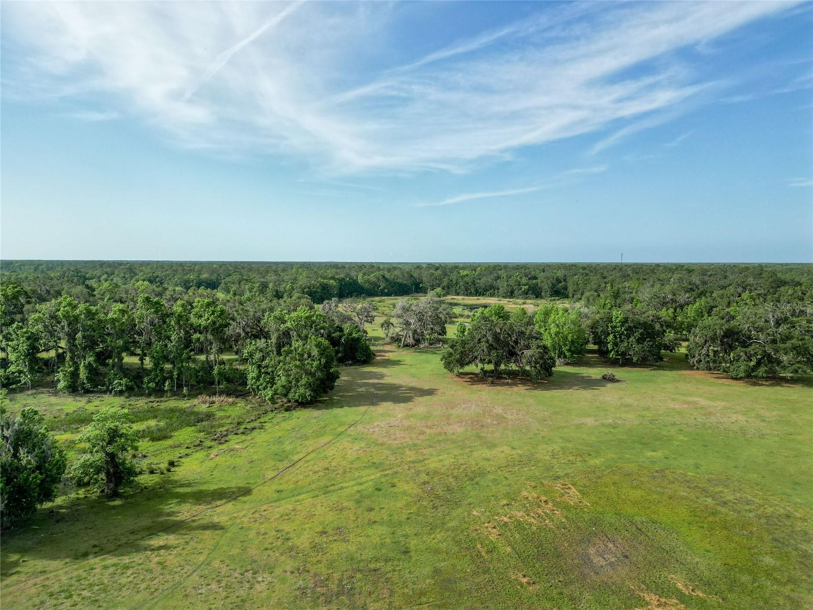 Details for Tbd Cr 772b  , WEBSTER, FL 33597
