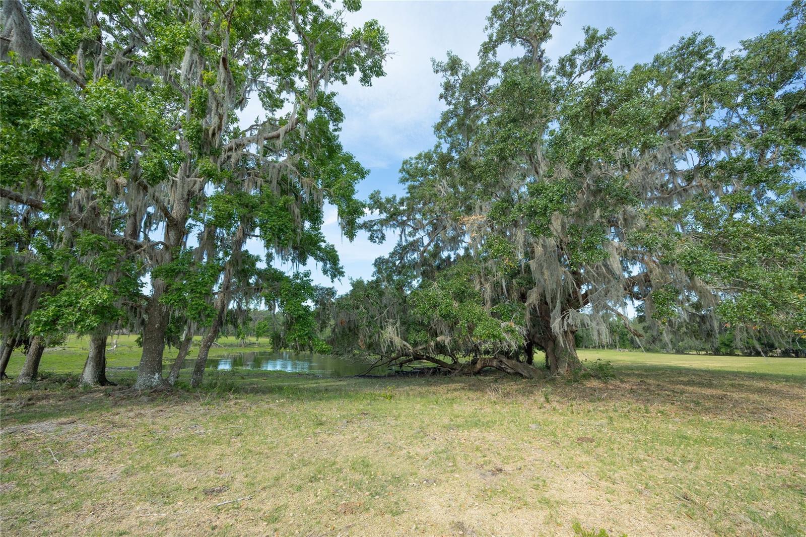 Image 18 of 44 For Tbd Cr 772b  