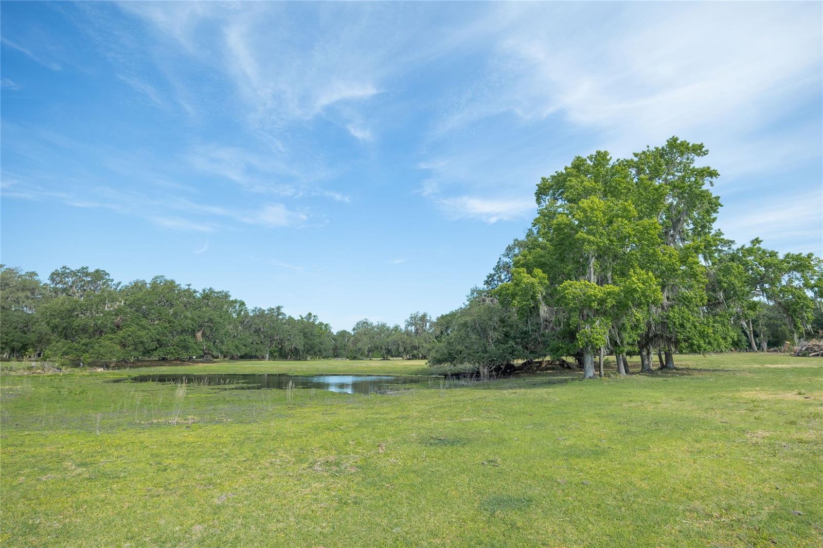 Image 8 of 44 For Tbd Cr 772b  