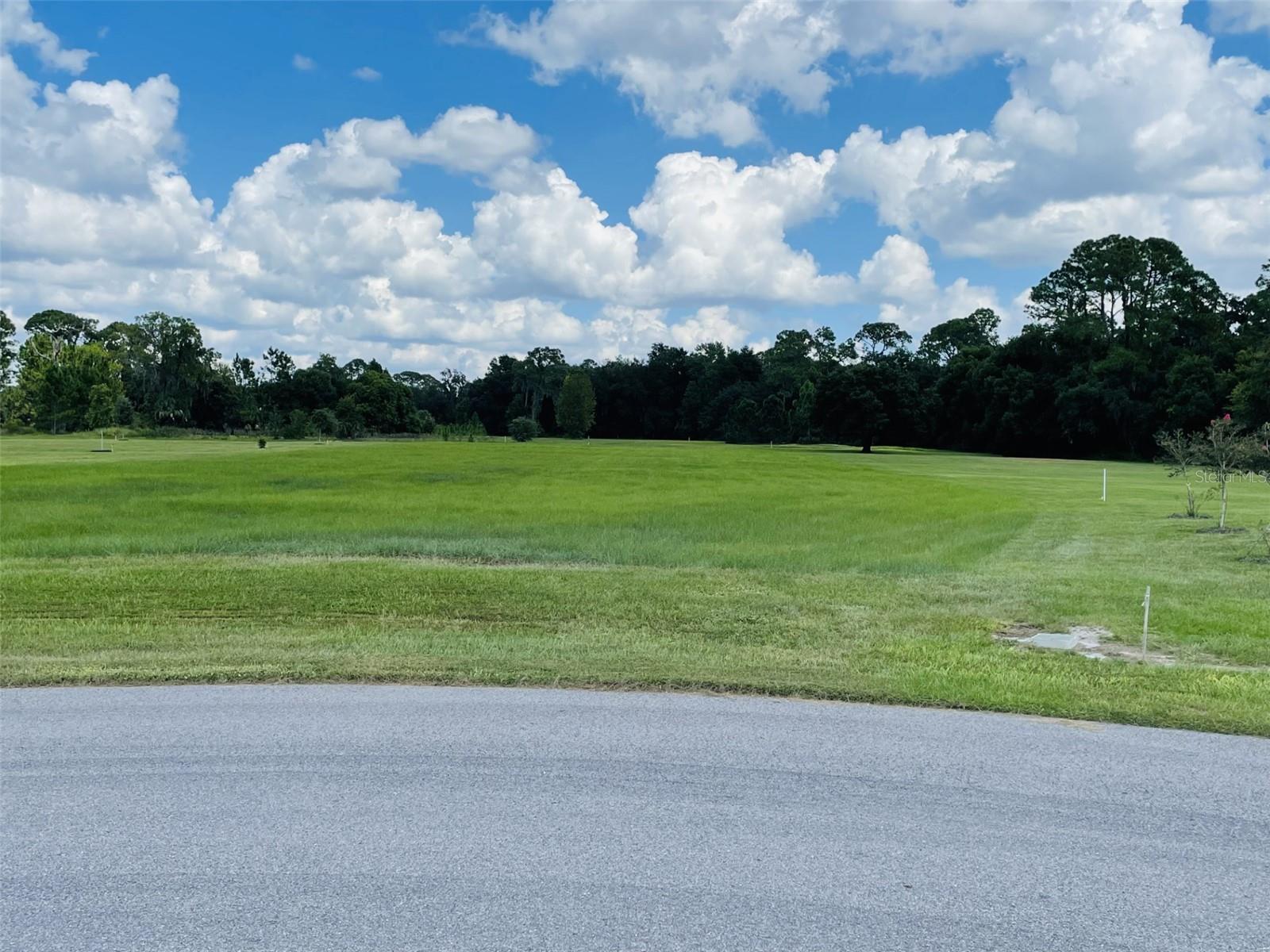 Details for 3457 Lake Diane Road, TAVARES, FL 32778