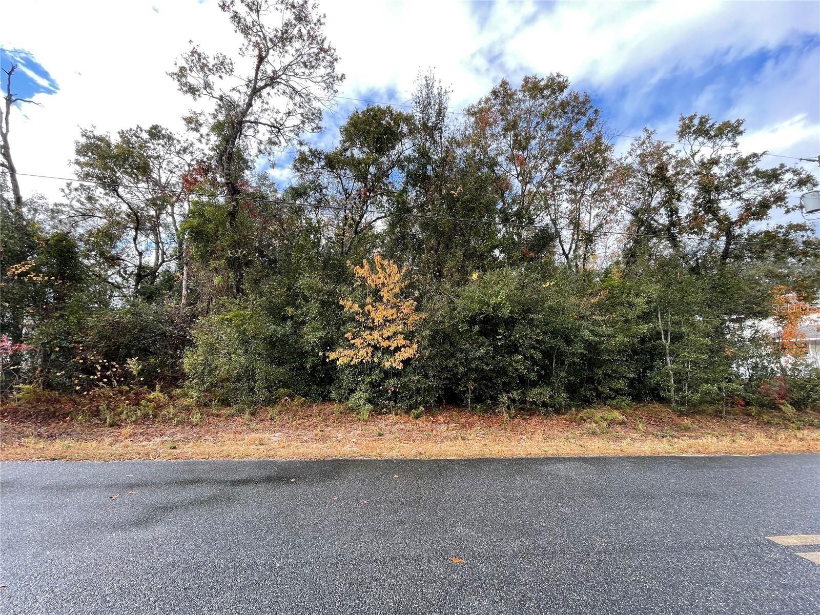 Details for Lot 37 Se 92nd Ter, SUMMERFIELD, FL 34491