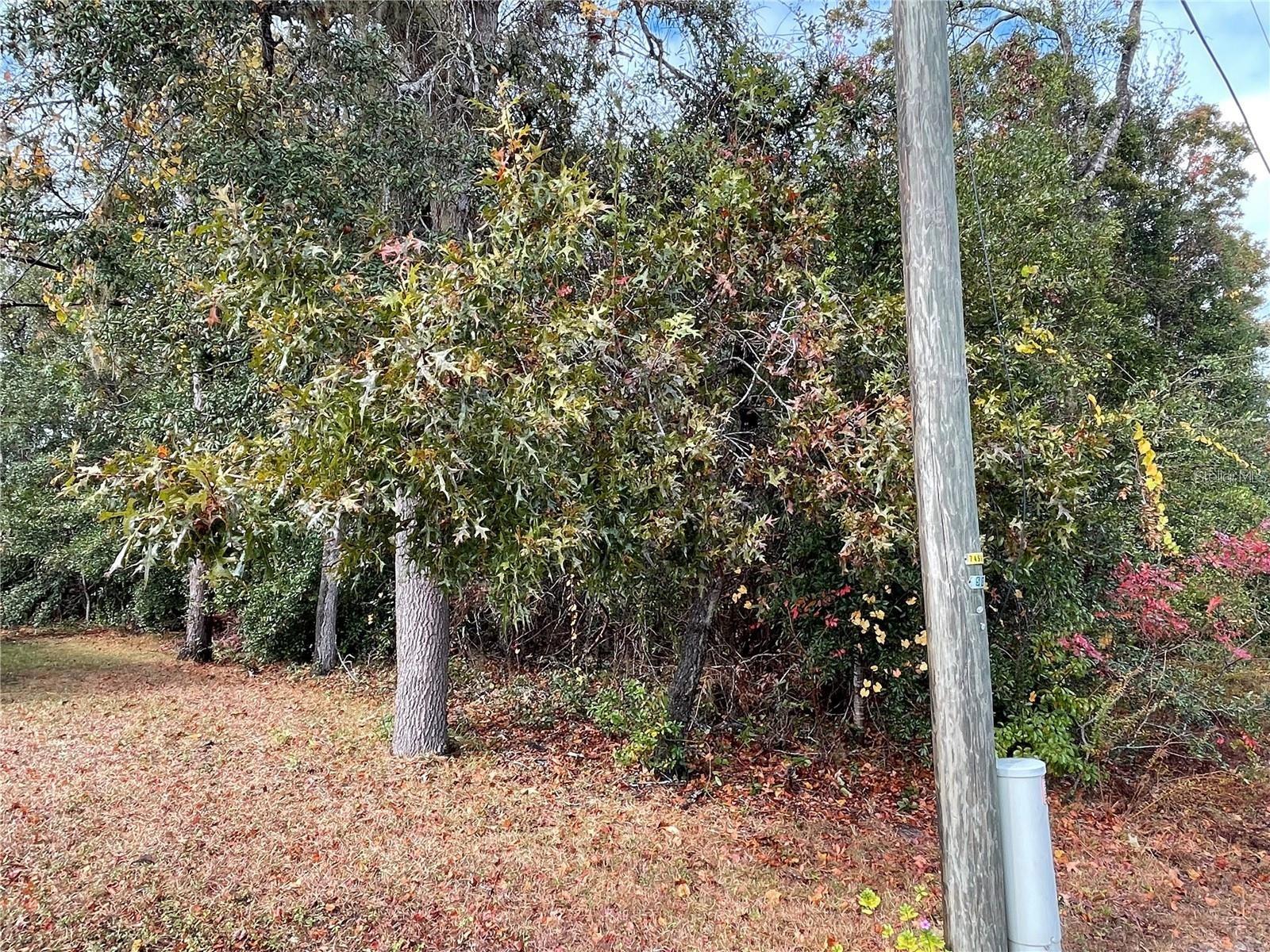 Image 11 of 12 For Lot 37 Se 92nd Ter